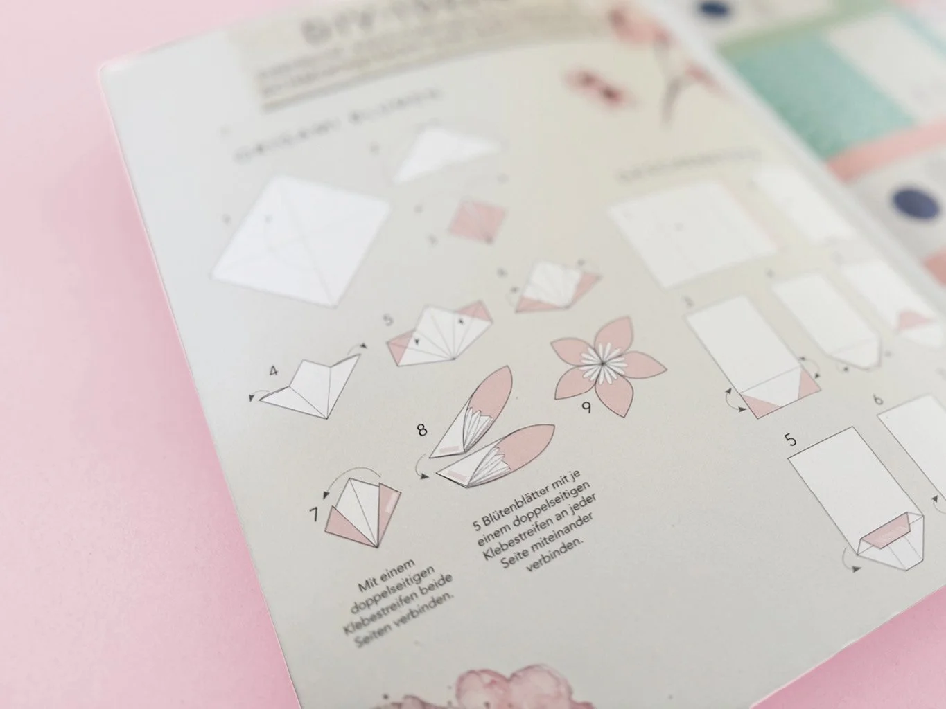 NiceDay Hompage_Kirschblüten4.jpg