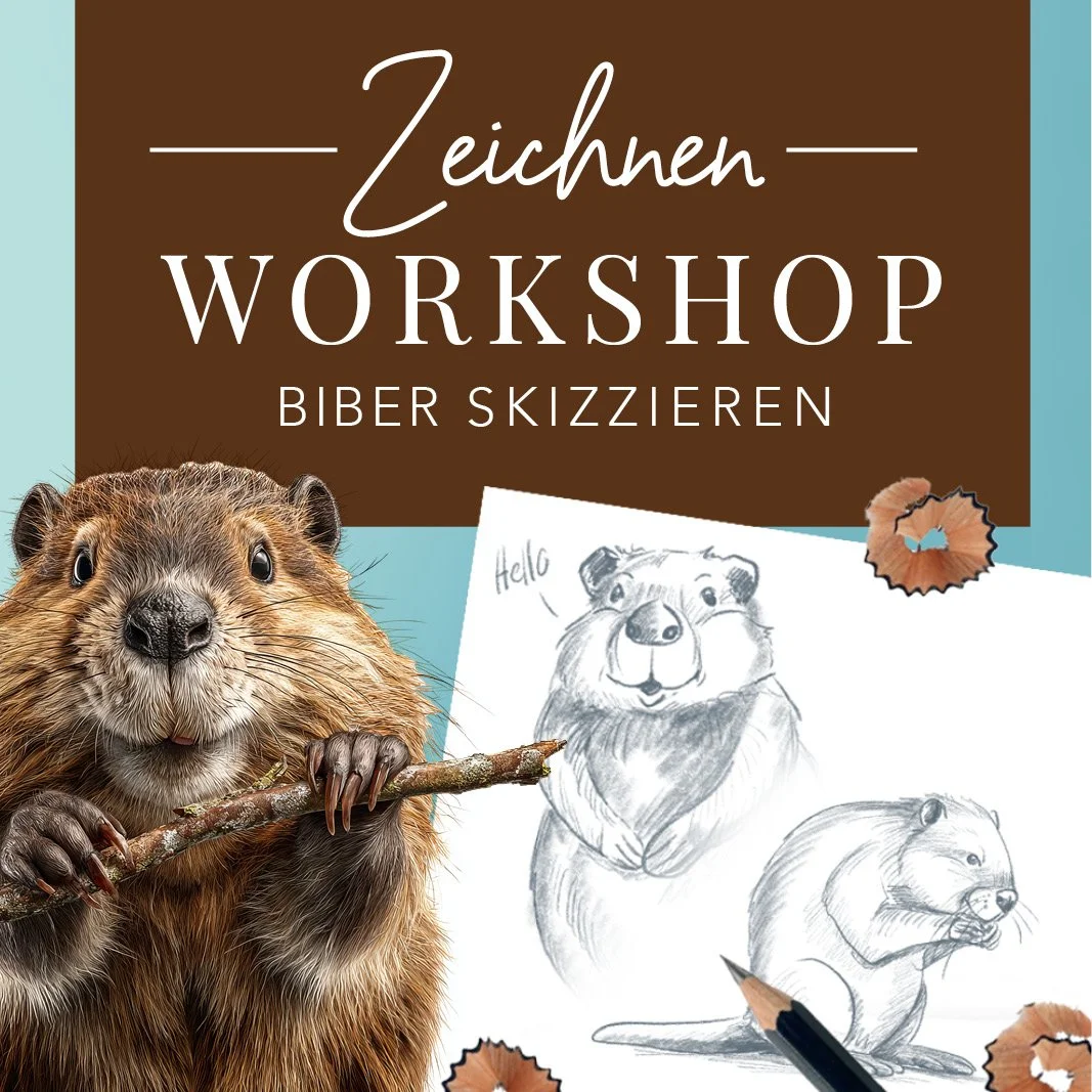 10.04.2026 - Online Workshop Biber zeichnen