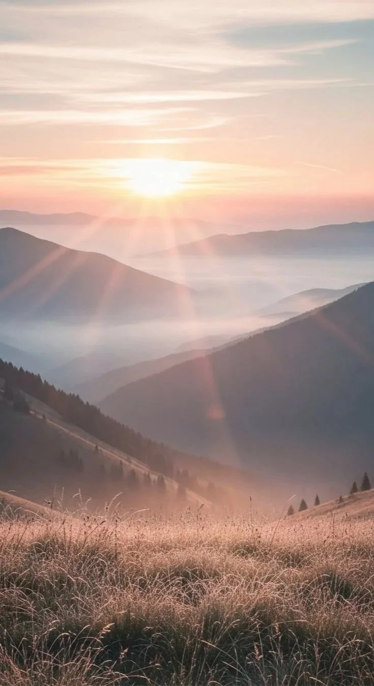 Sonnenaufgang über Bergen, mit Nebel in Tälern und goldenen Grasflächen im Vordergrund.