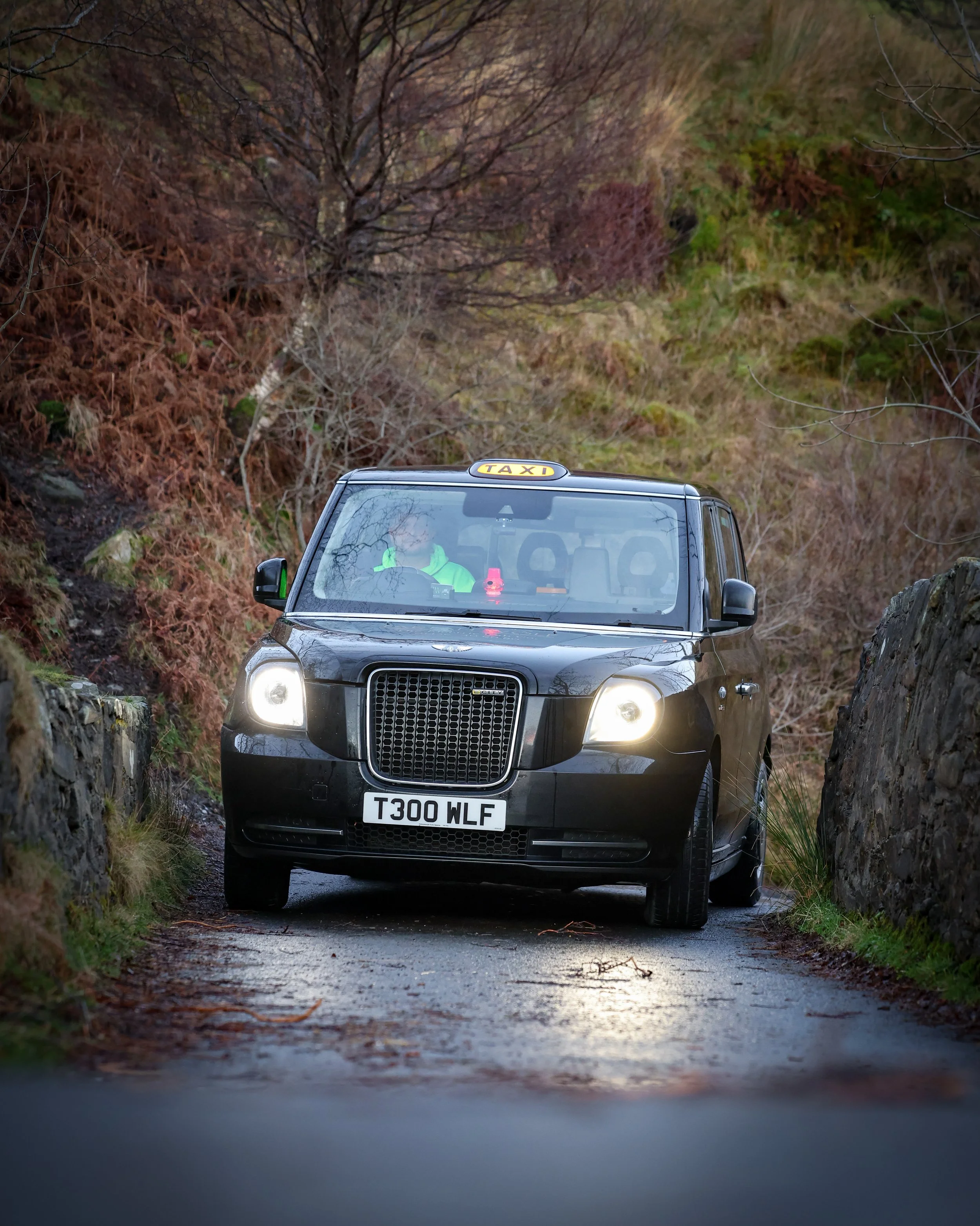 002_3865_web size.JPG