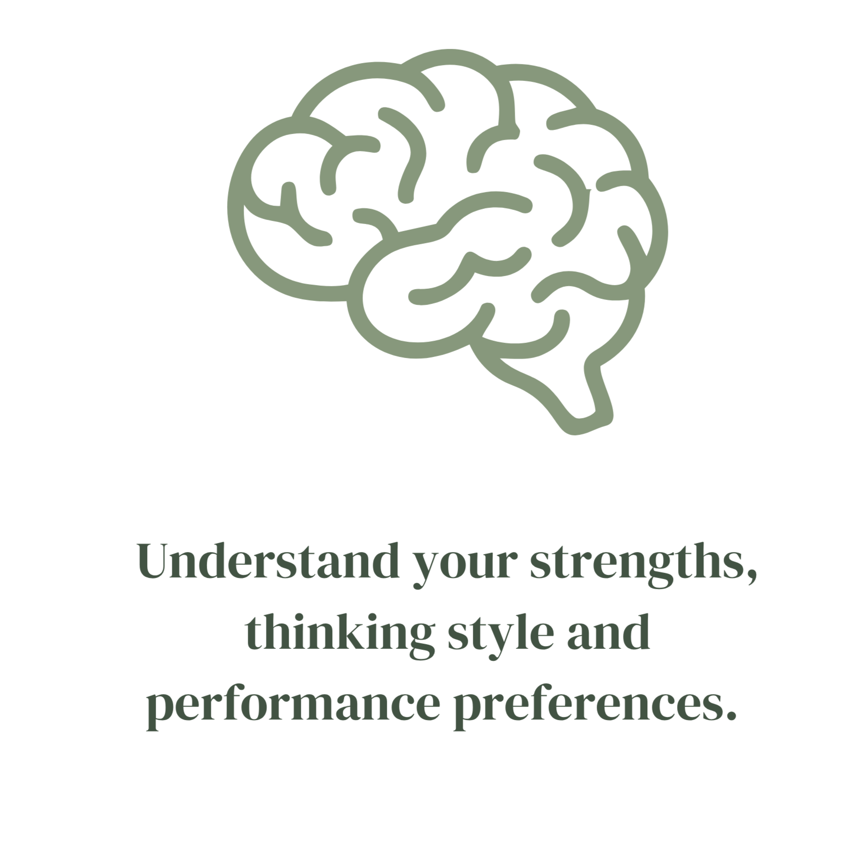 Intelligence Profile assessment identifying strengths, thinking styles and performance preferences.