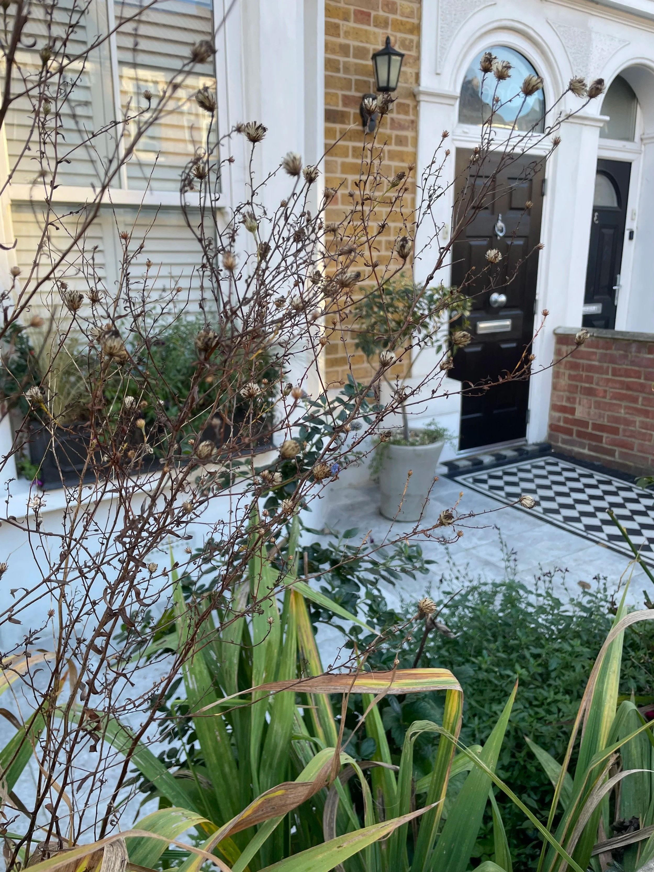 A Neighbourhood Front Garden