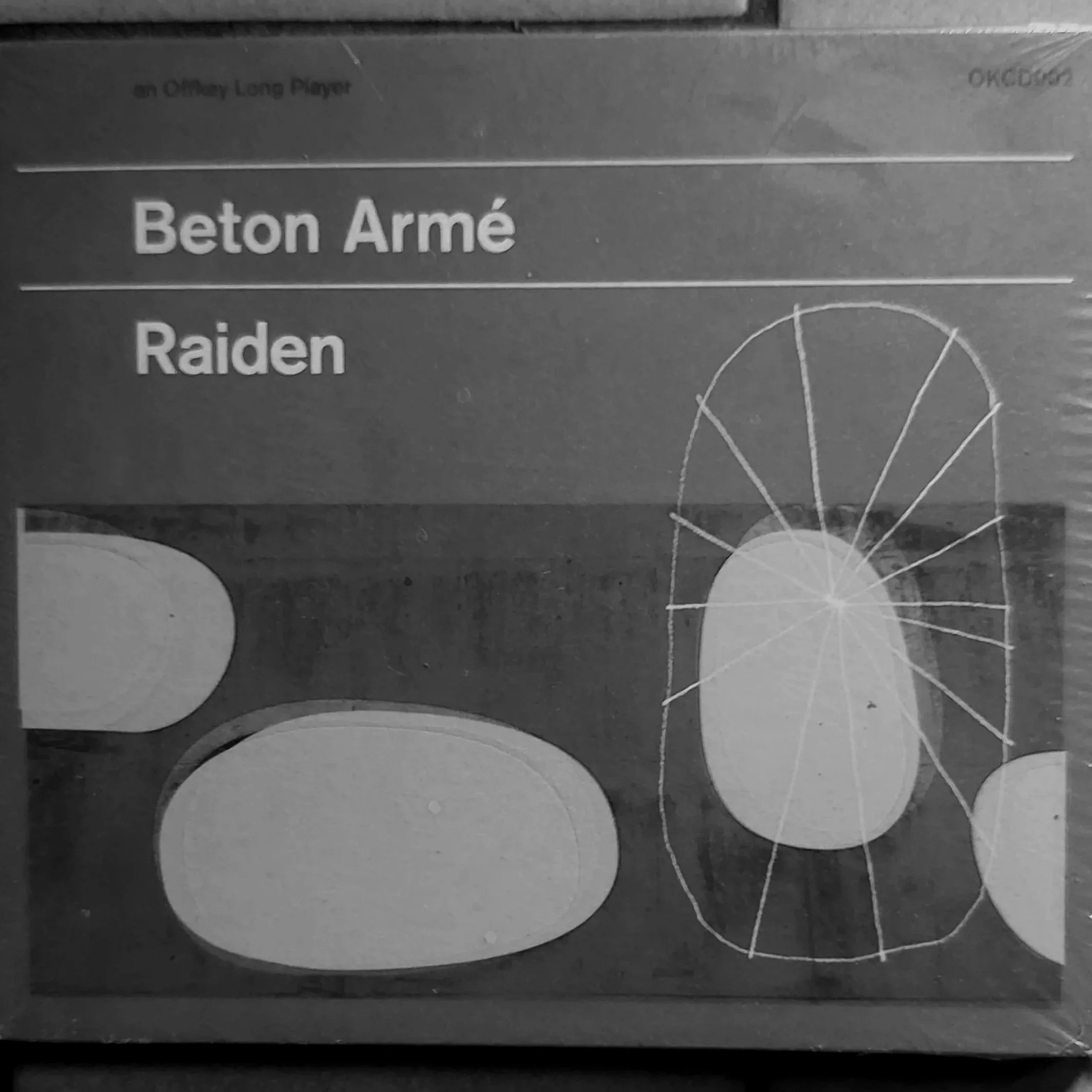 Close-up of a packaging box labeled with the words 'Beton Armé' and 'Raiden' with a geometric blue and white design.