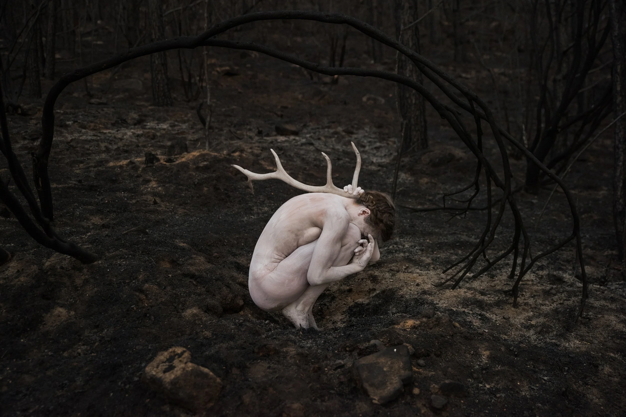 DSC_9519 copia 2.jpg