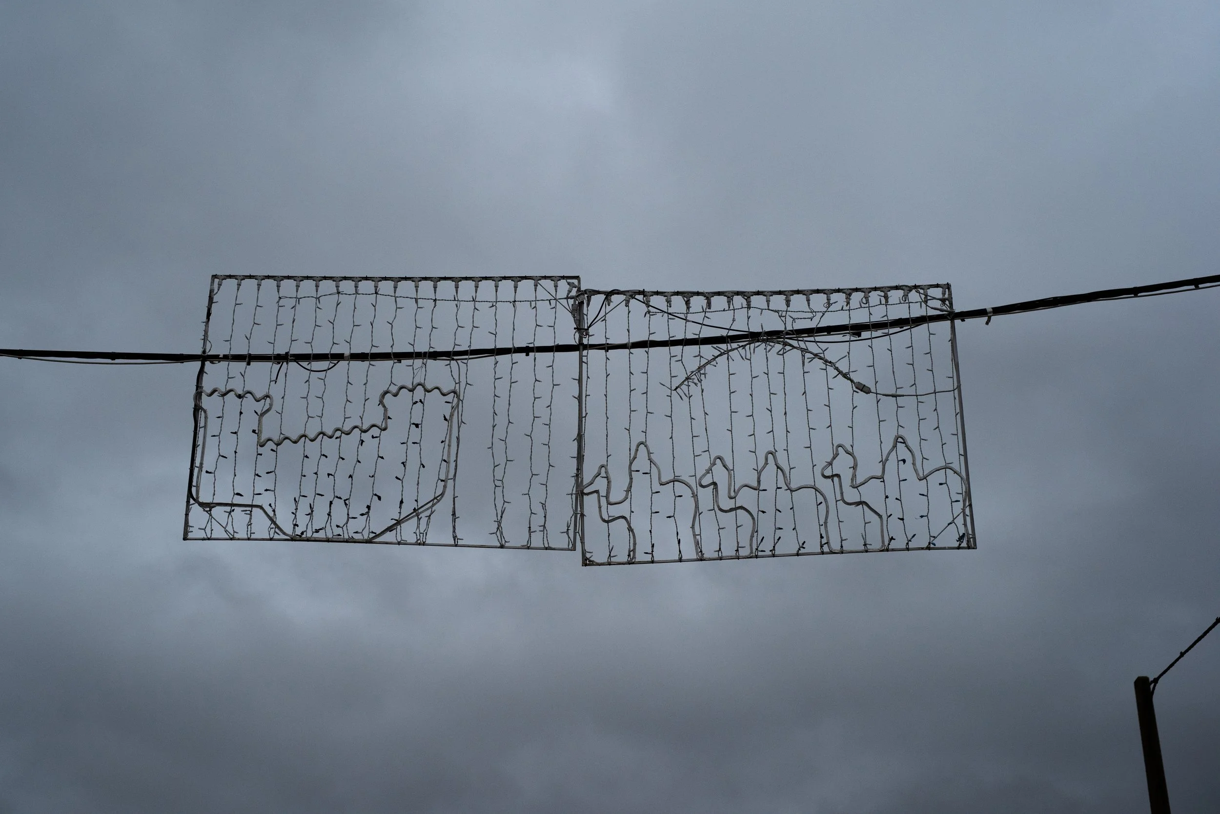 DSC_2719 copia 2.jpg