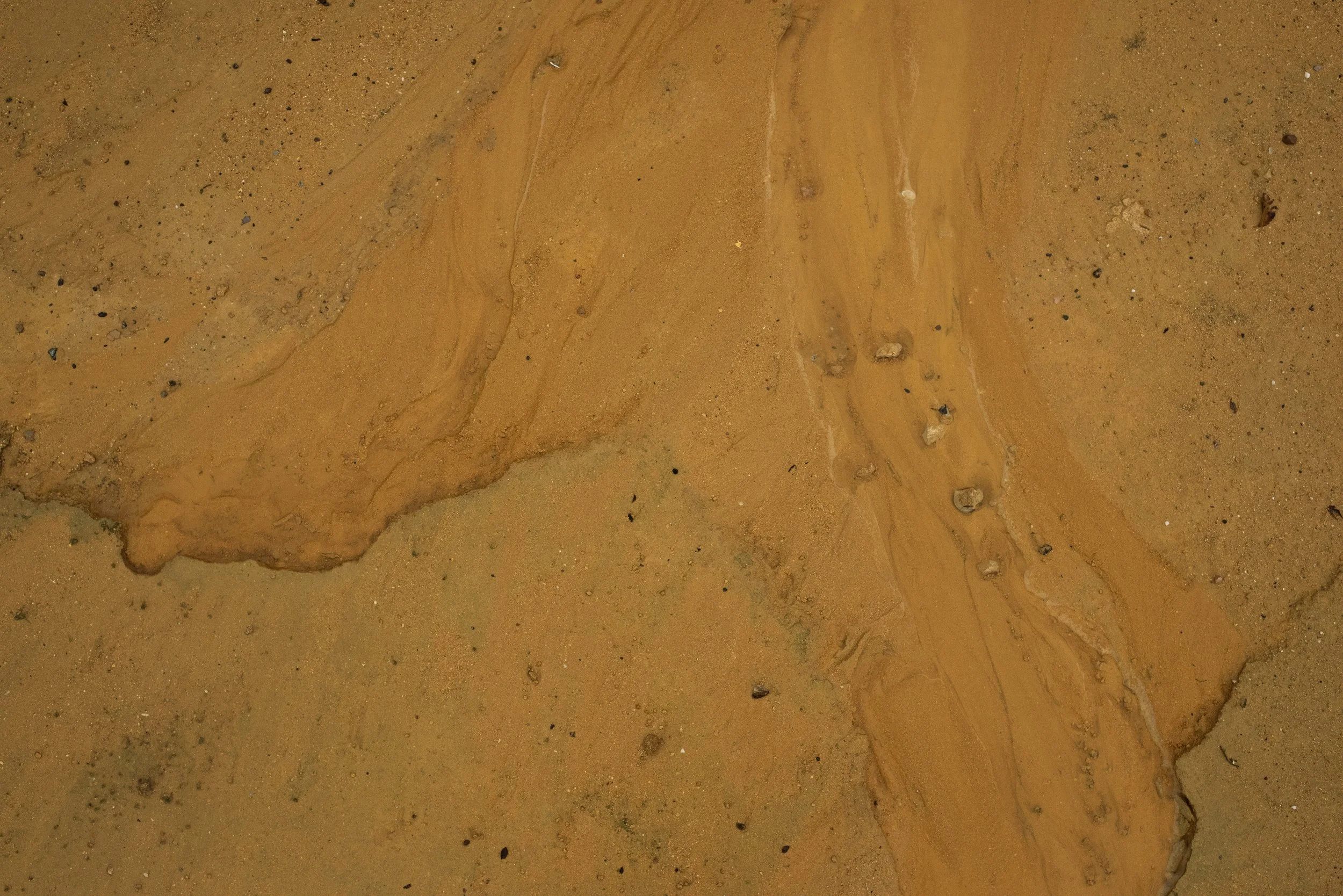 DSC_3306 copia 2.jpg