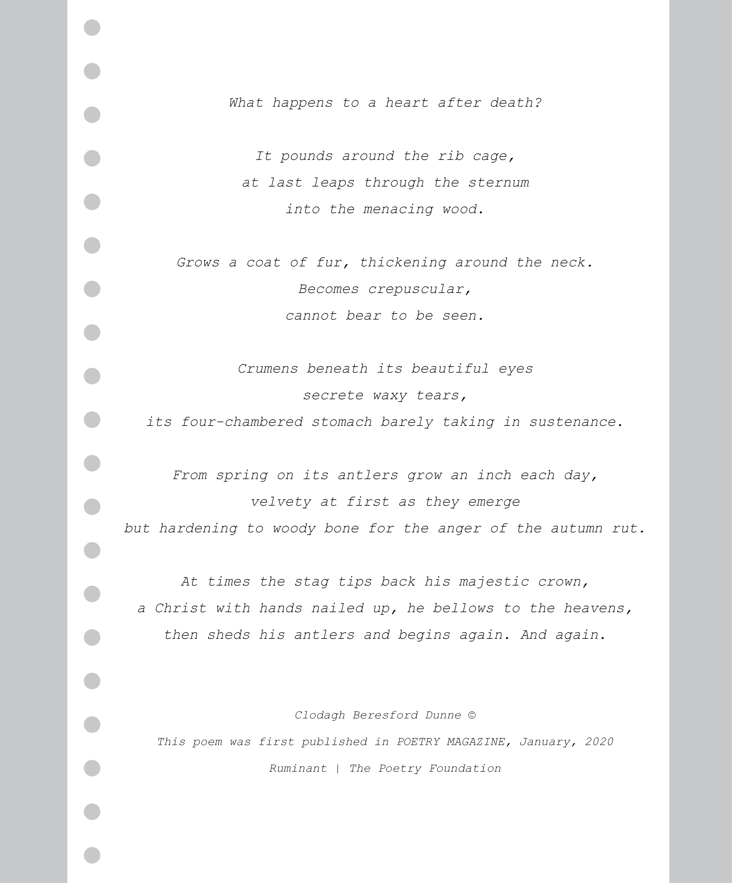 Ruminant poem by Clodagh Beresford Dunne, an imaginative meditation on death, grief and transformation through the image of a stag.