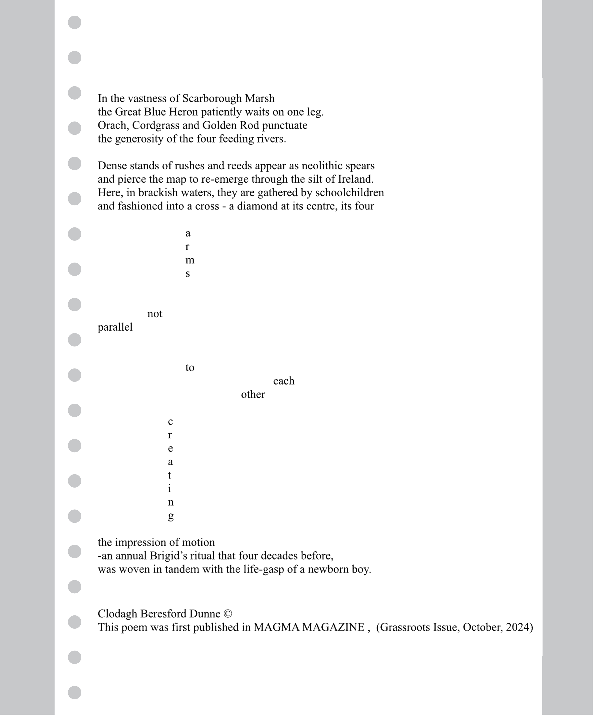 Cordgrass poem by Clodagh Beresford Dunne, connecting the landscape of Scarborough Marsh with Irish heritage, St Brigid’s crosses and family memory.