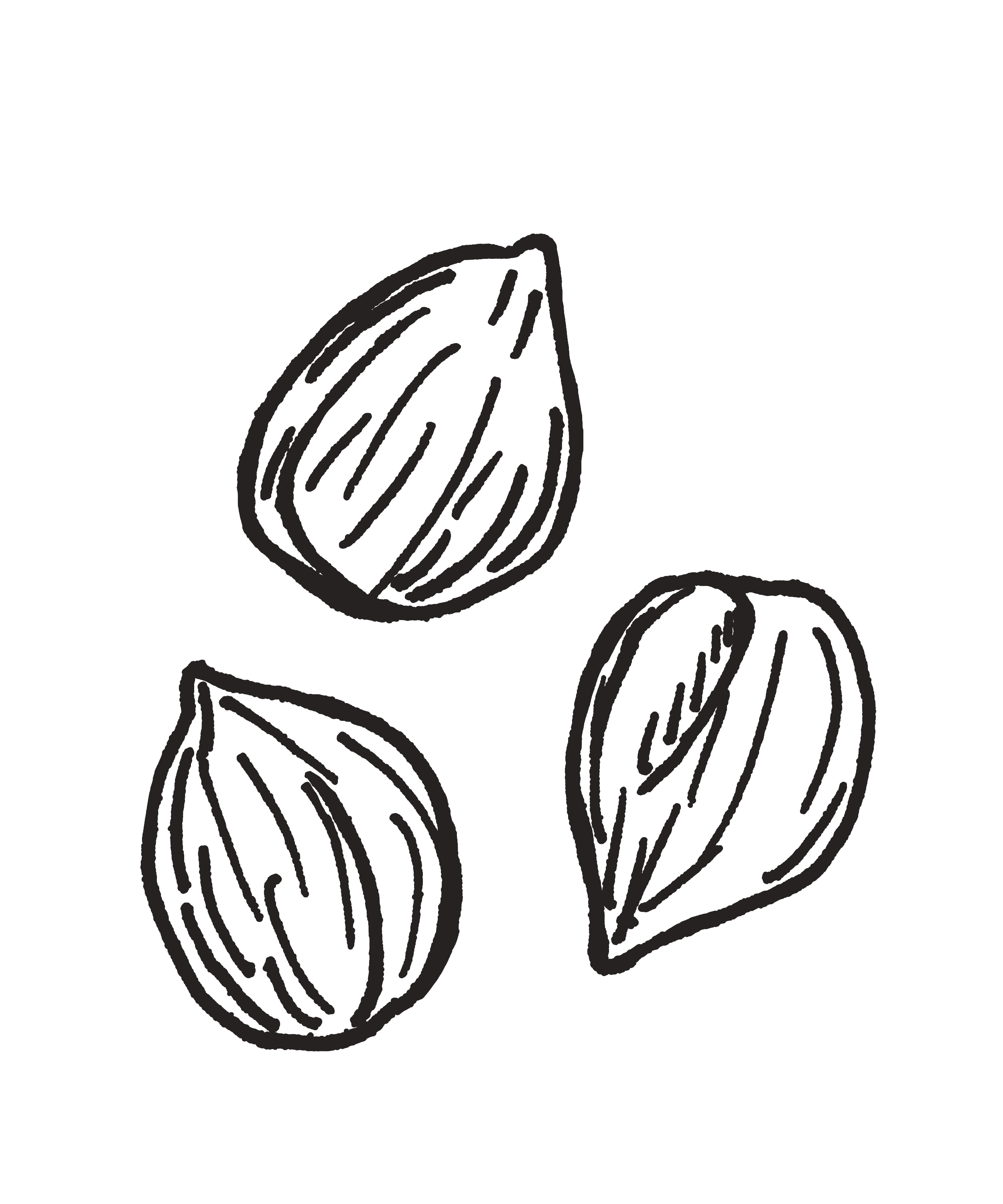 Black and white line drawing of three chickpeas.