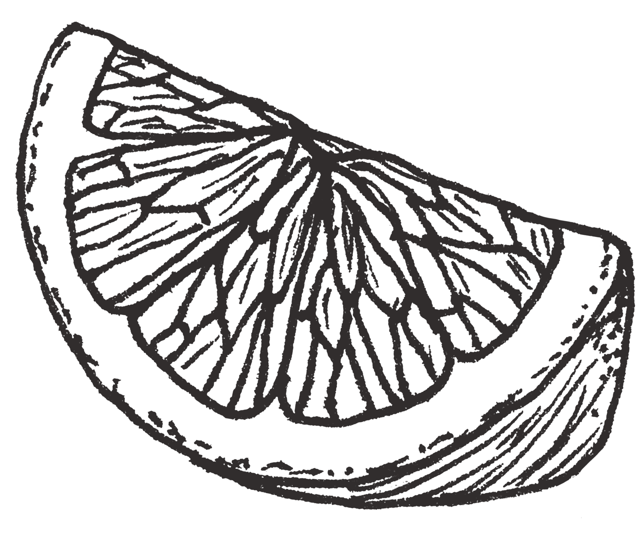 Black and white line drawing of a lemon wedge on a black background.