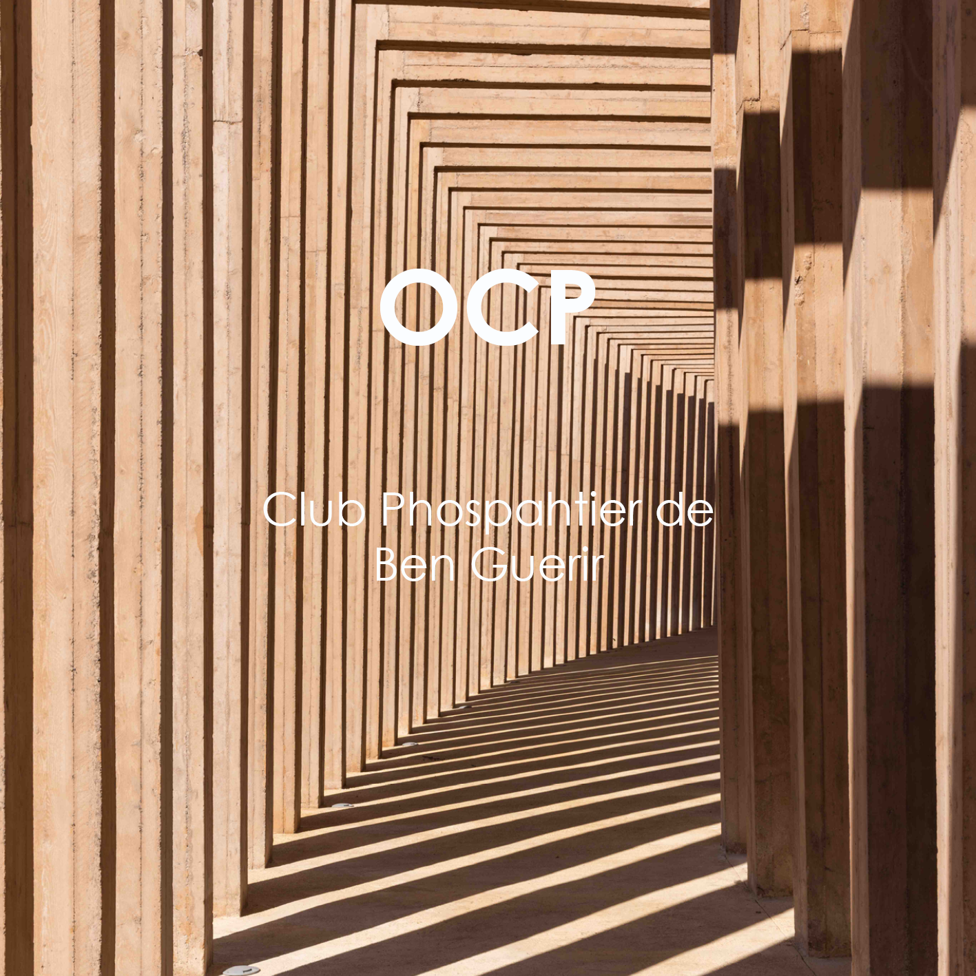 Template carrés projets site internet10.png