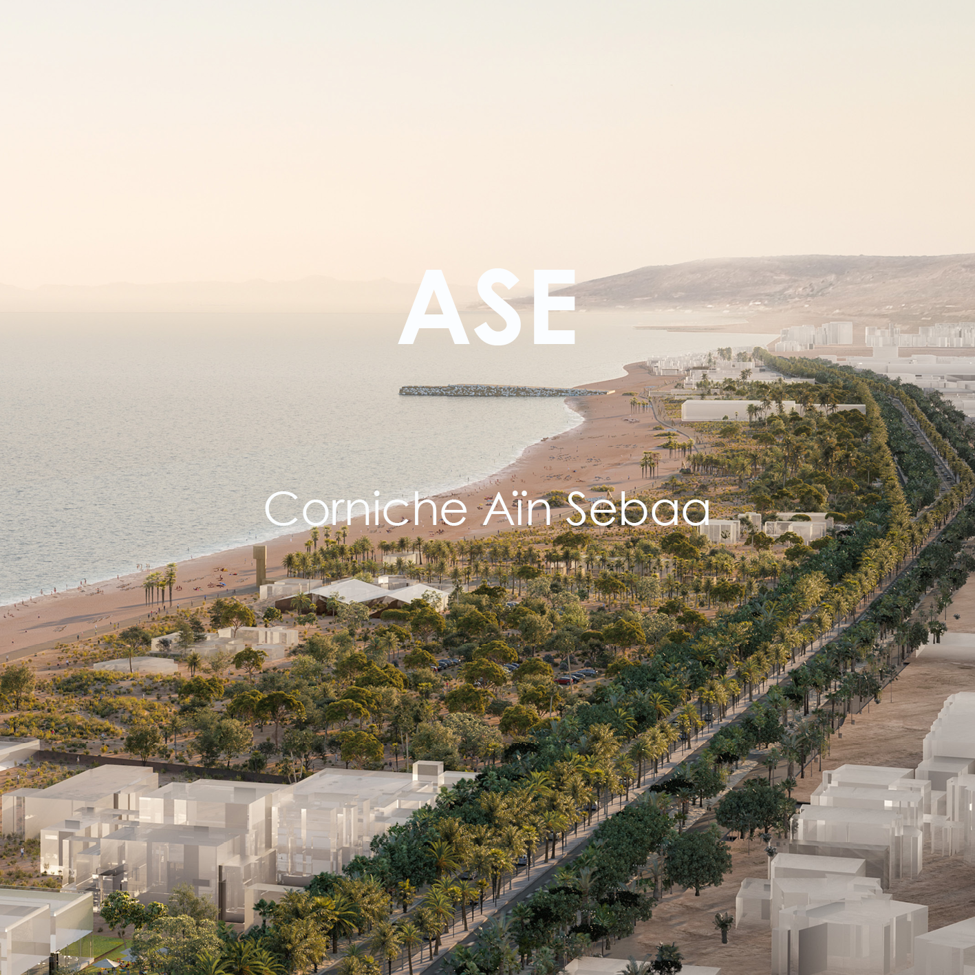 Template carrés projets site internet74.png