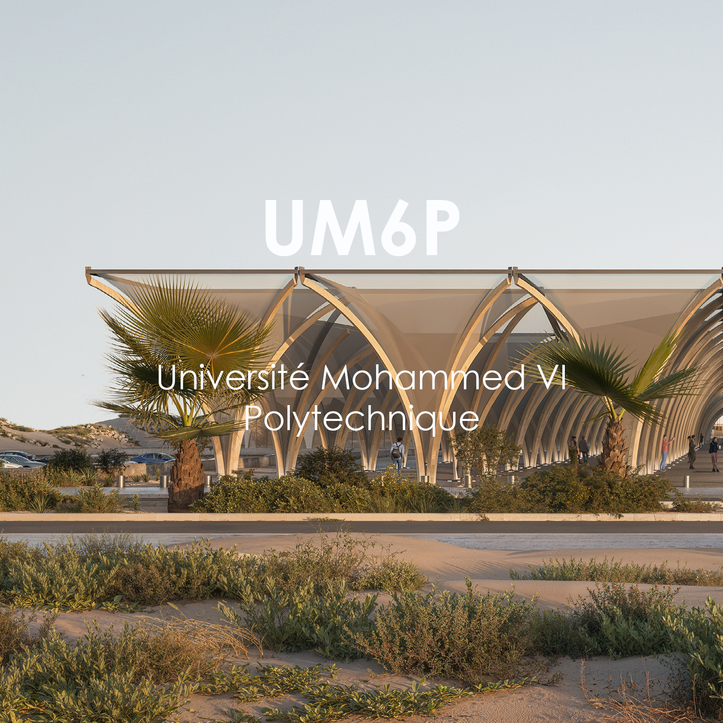 Template carrés projets site internet11.png