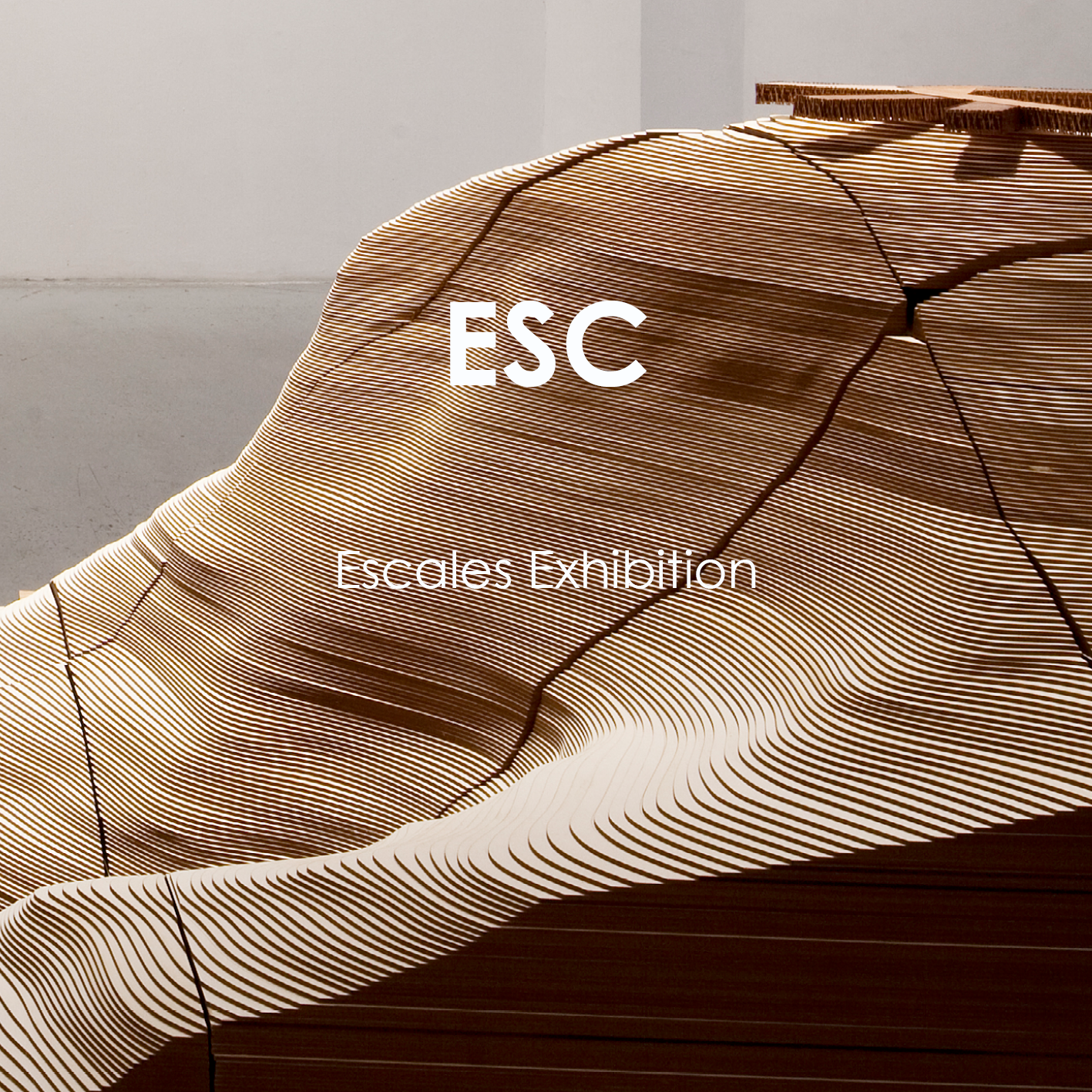 Template carrés projets site internet17.png