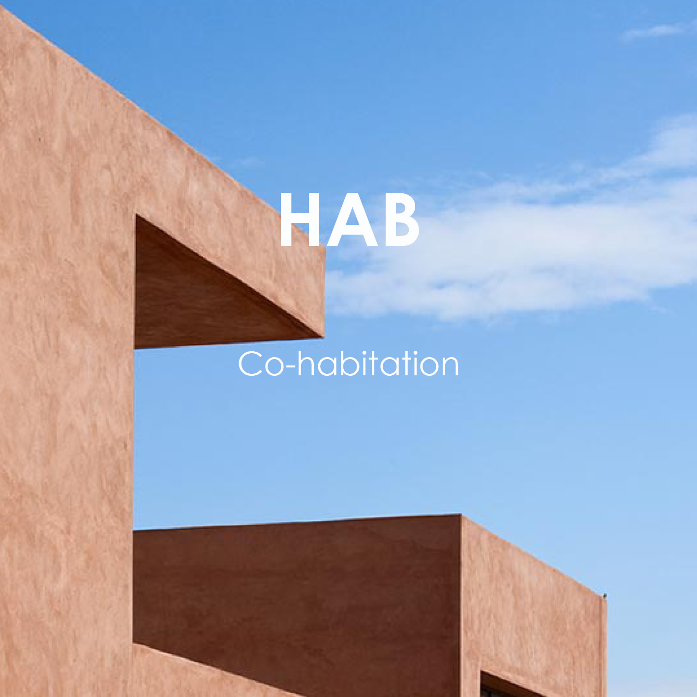 Template carrés projets site internet25.png