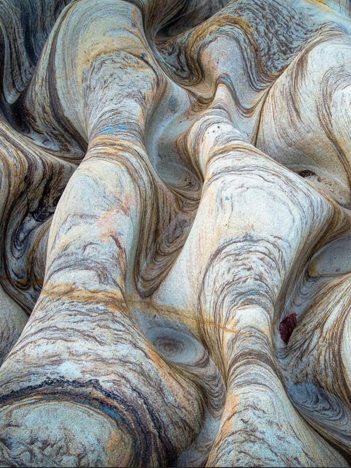 Protein and Longevity — Why the RDA Isn’t Enough