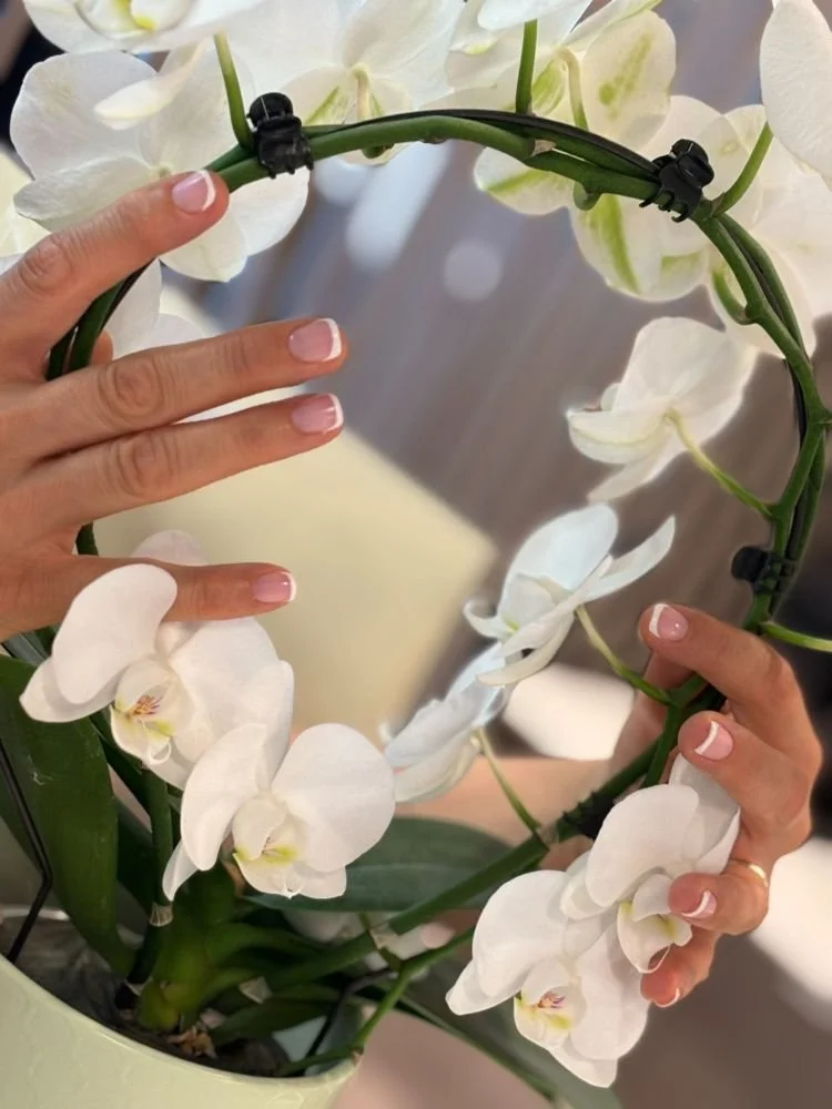 Coco dry bar and nail house софия, маникюр, педикюр