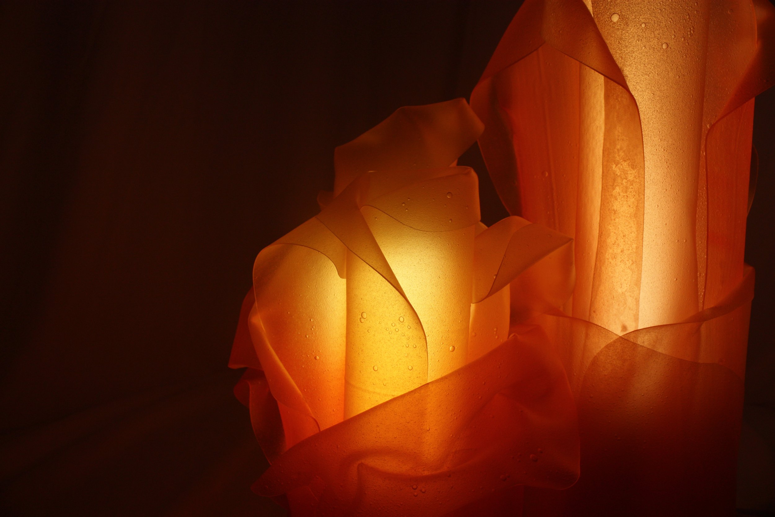 Chapter 04 Incubation 