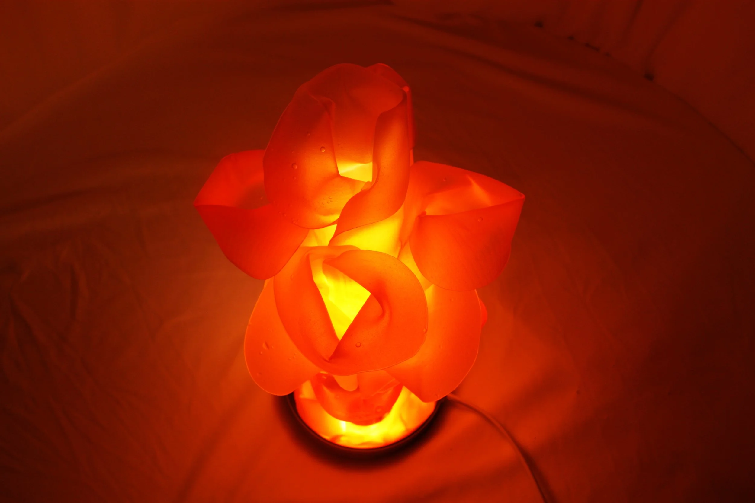 Chapter 05 Incubation II