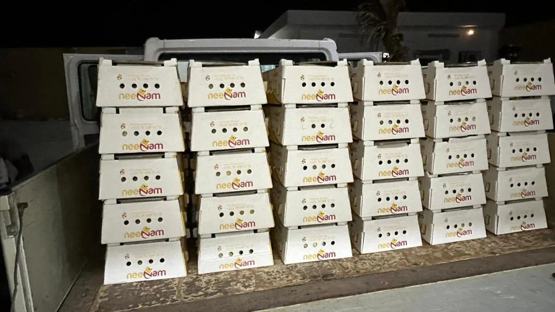 des cartons de poussin chargés dans un camion lors de la livraison