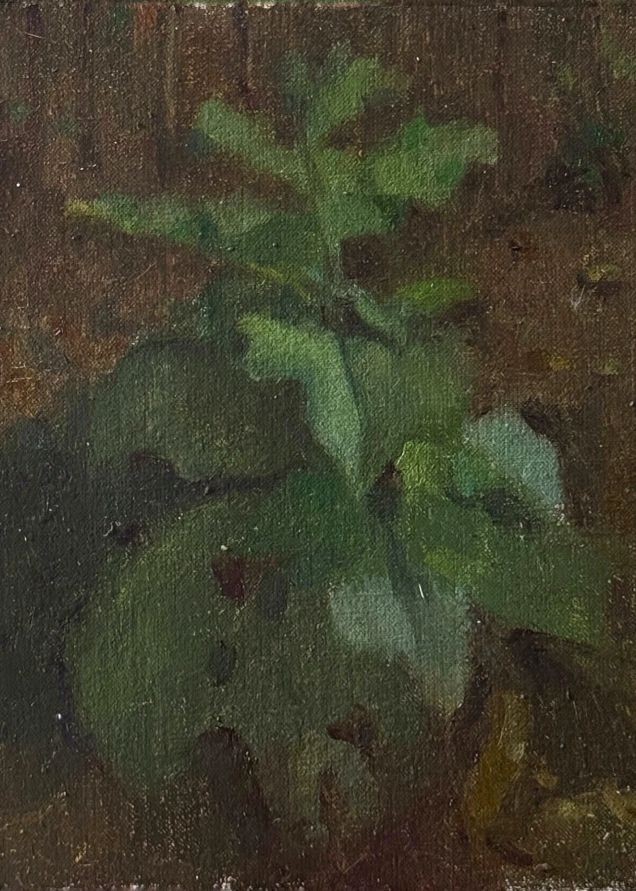  Best Weed in Hampstead Heath  
🔴 SOLD  
7 x 5 in | Oil on Linen | 2026