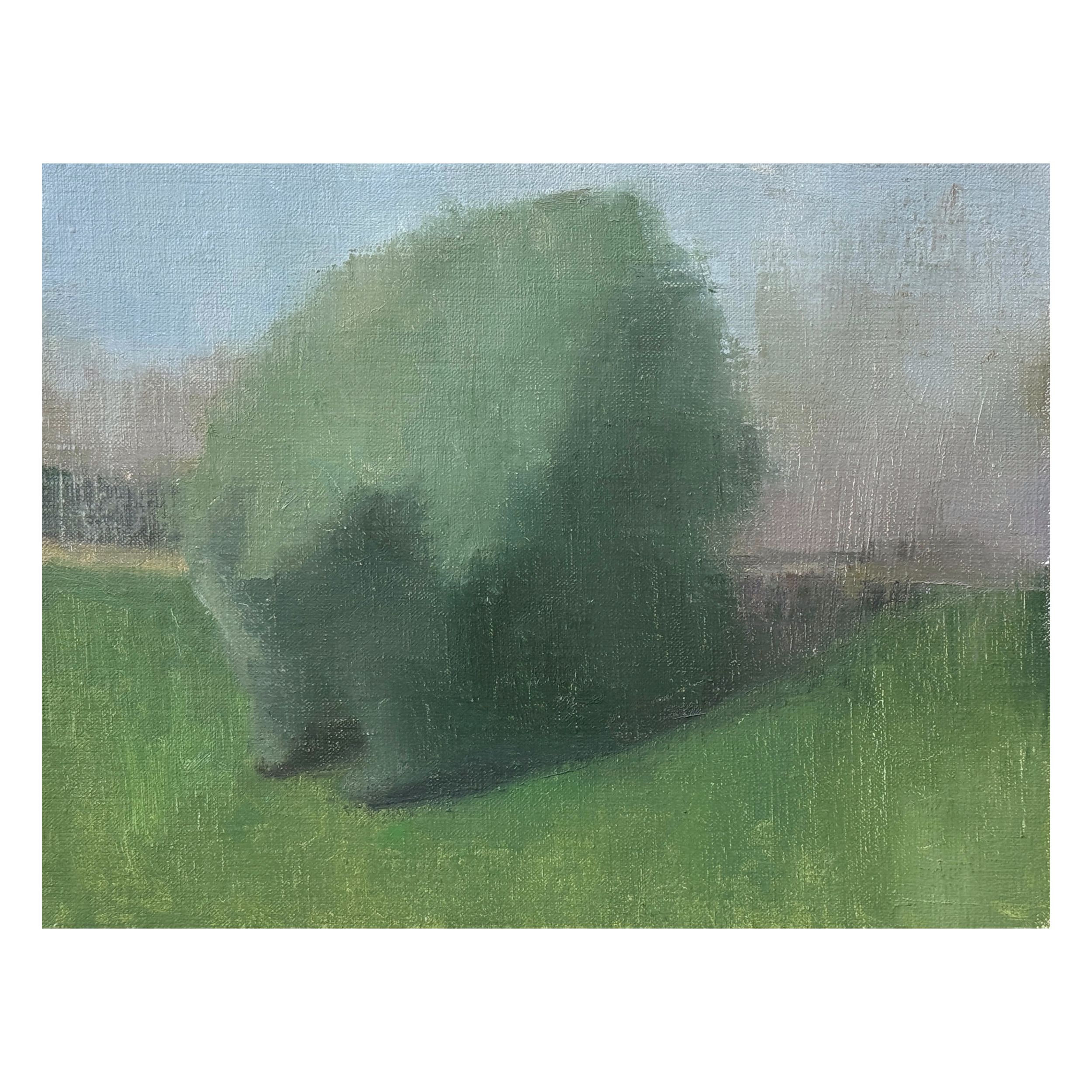 Peaceful Tree when the World is not  
£300  
8 x 10 in | Oil on Linen | 2026