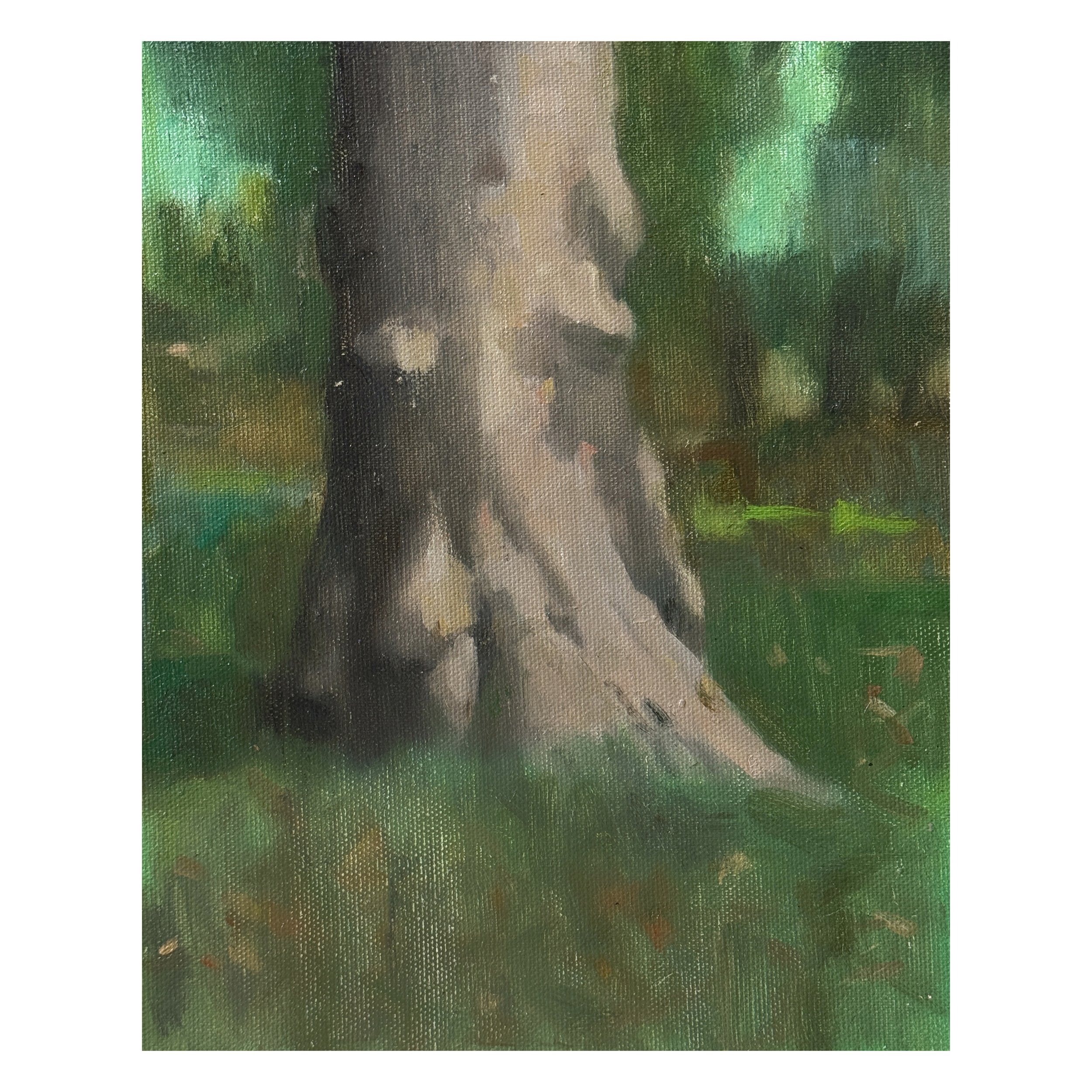  Knotty Tree, St James's Park  
£220 
10 x 8 in | Oil on Canvas | 2025