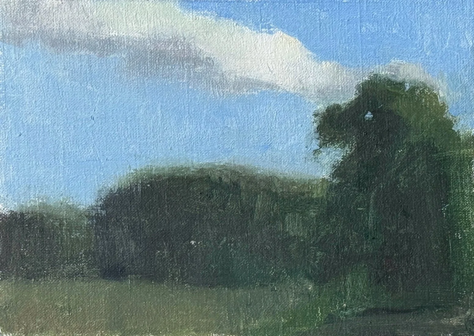  A Cloud  
£180 
5 x 7 in | Oil on Linen | 2026
