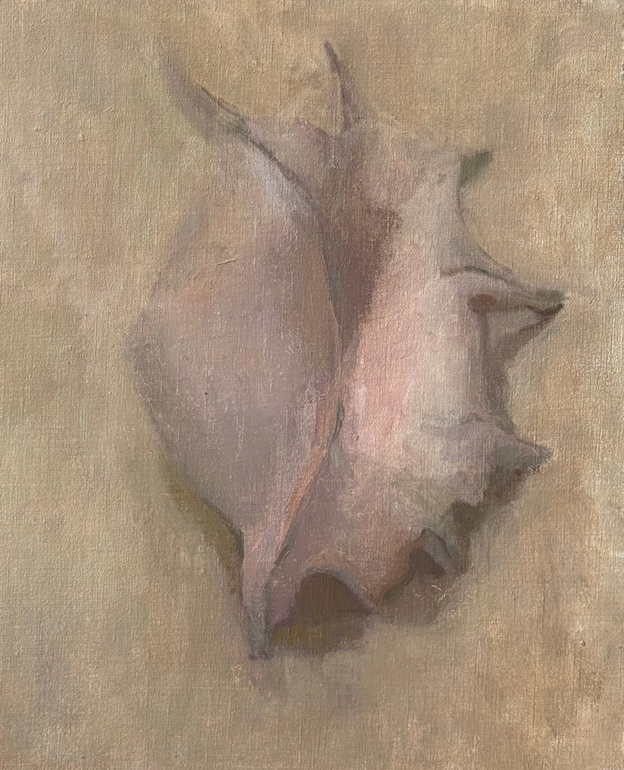  Shell 1  
NFS 
12 x 10 in | Oil on Linen | 2026