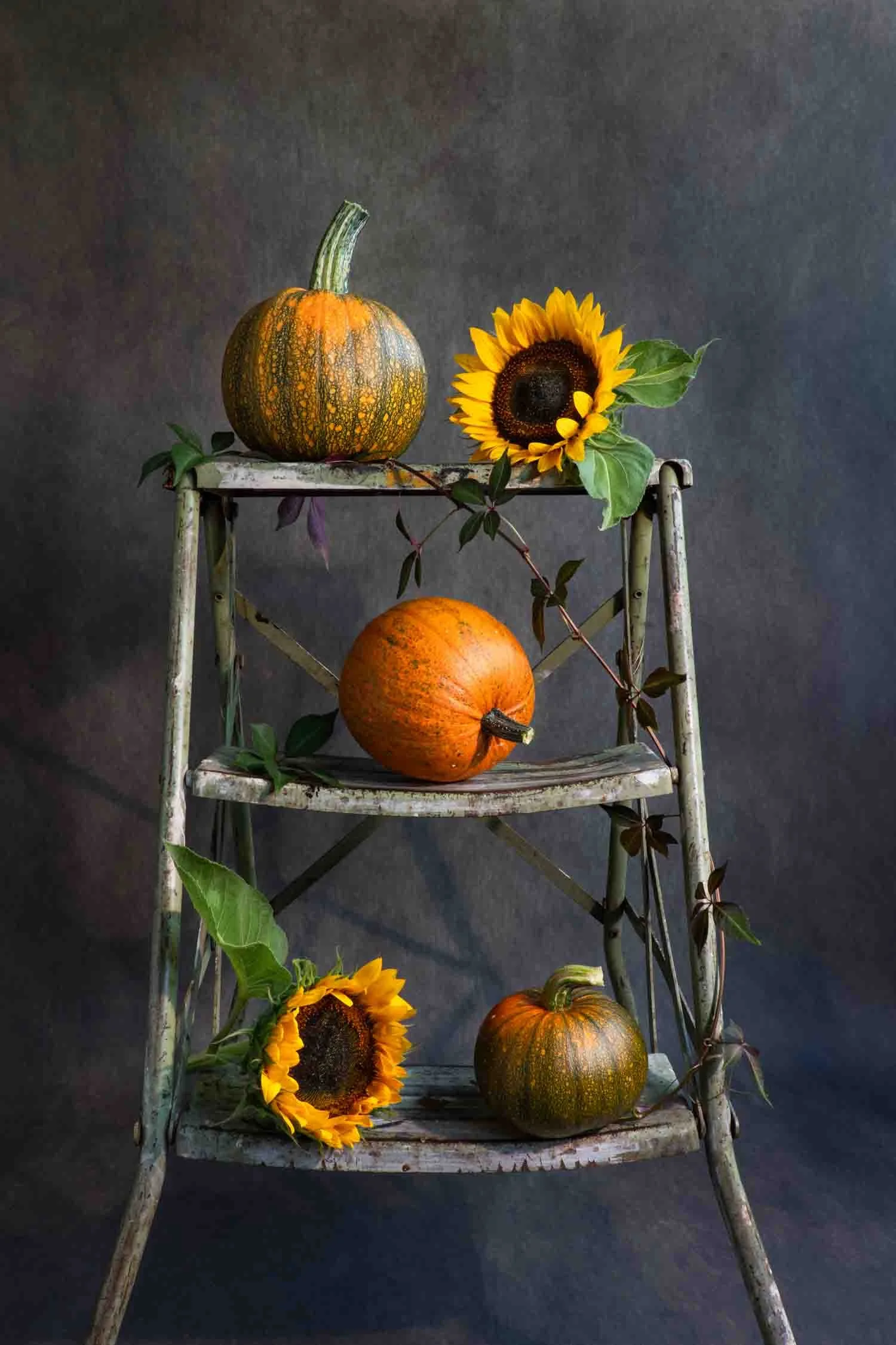 Still life of pumpkins and sunflowers, photographed on a step ladder by Wendy Akers