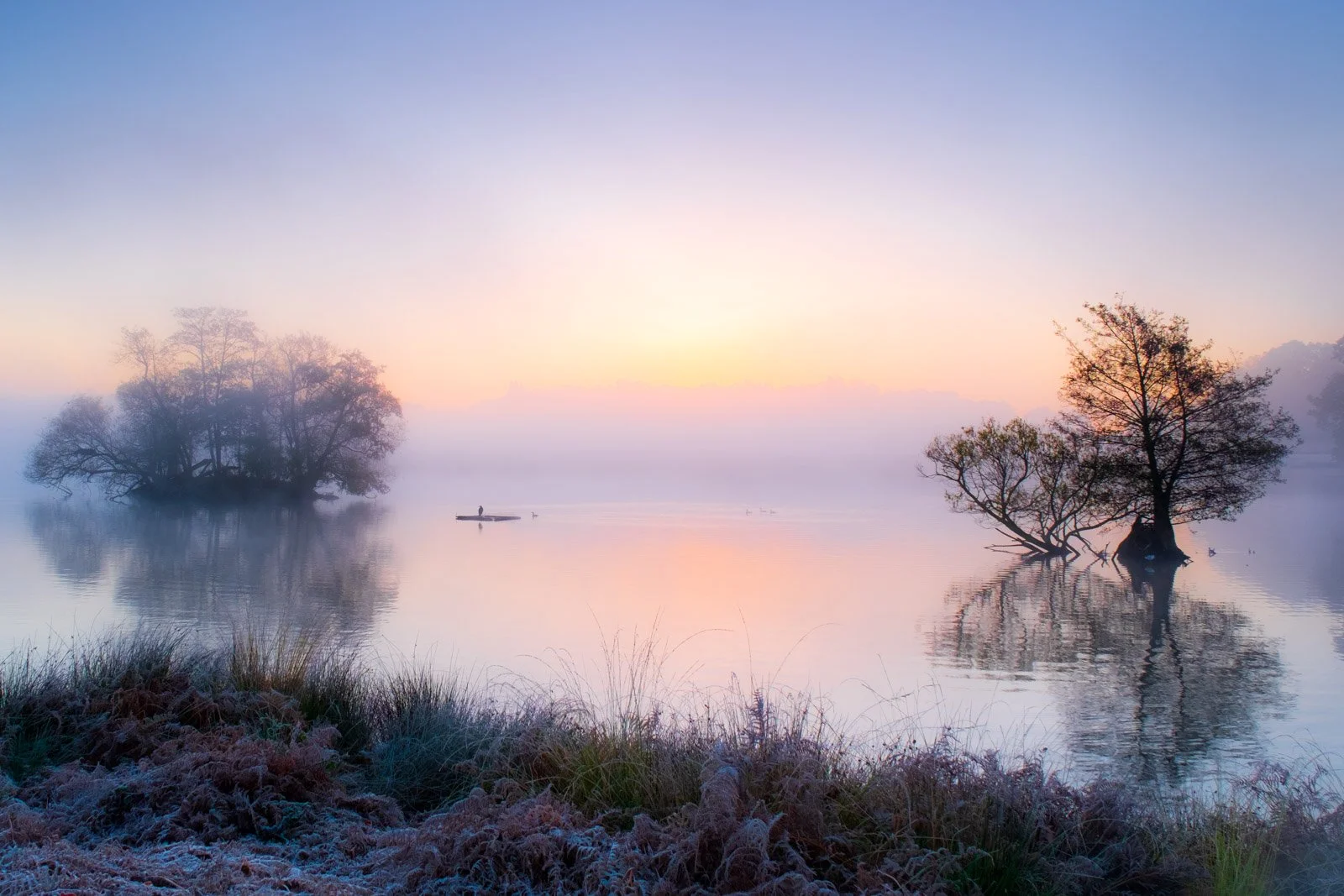 Pen Ponds, Richmond Park