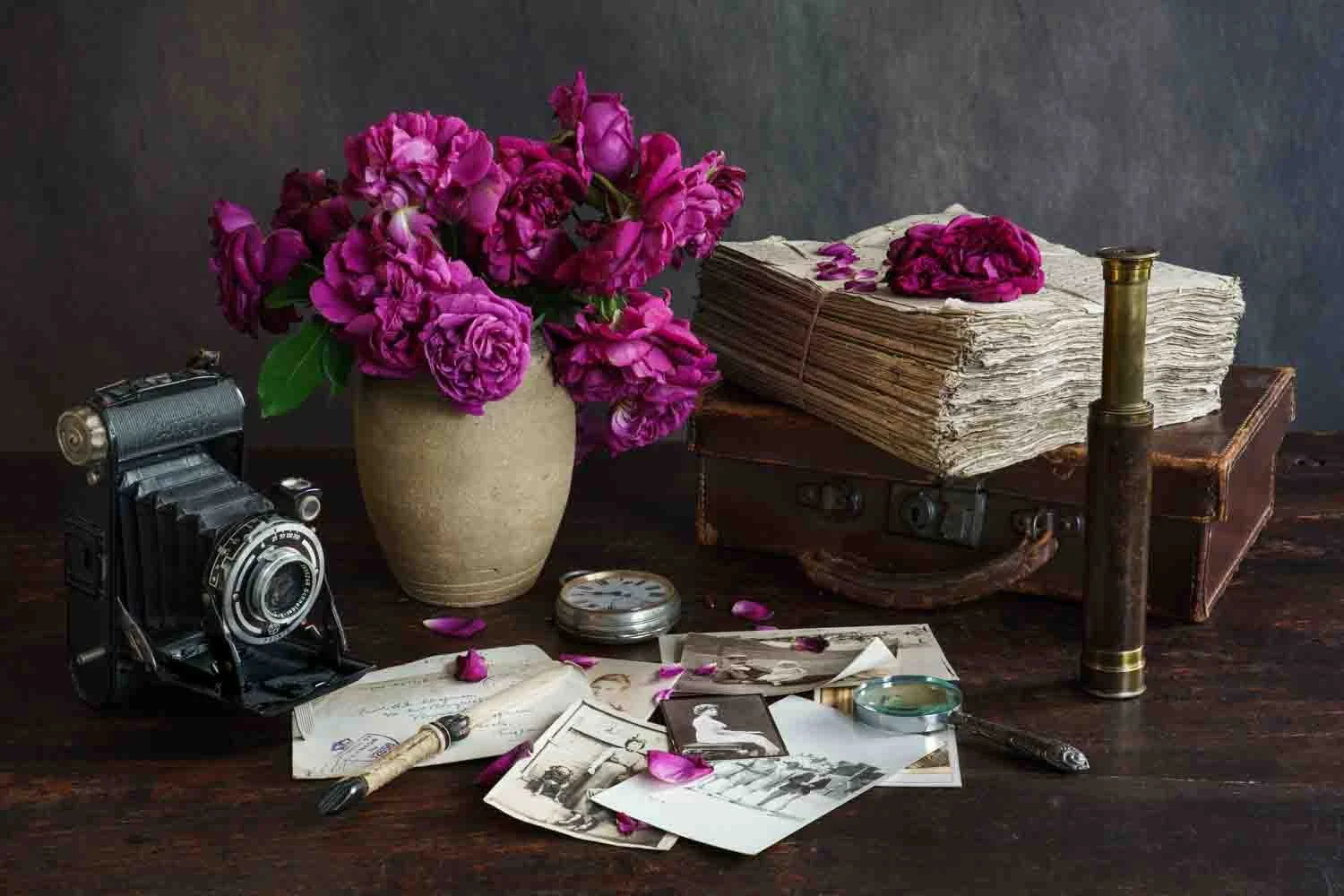 Still life of roses, old camera, photos and papers, photographed by Wendy Akers