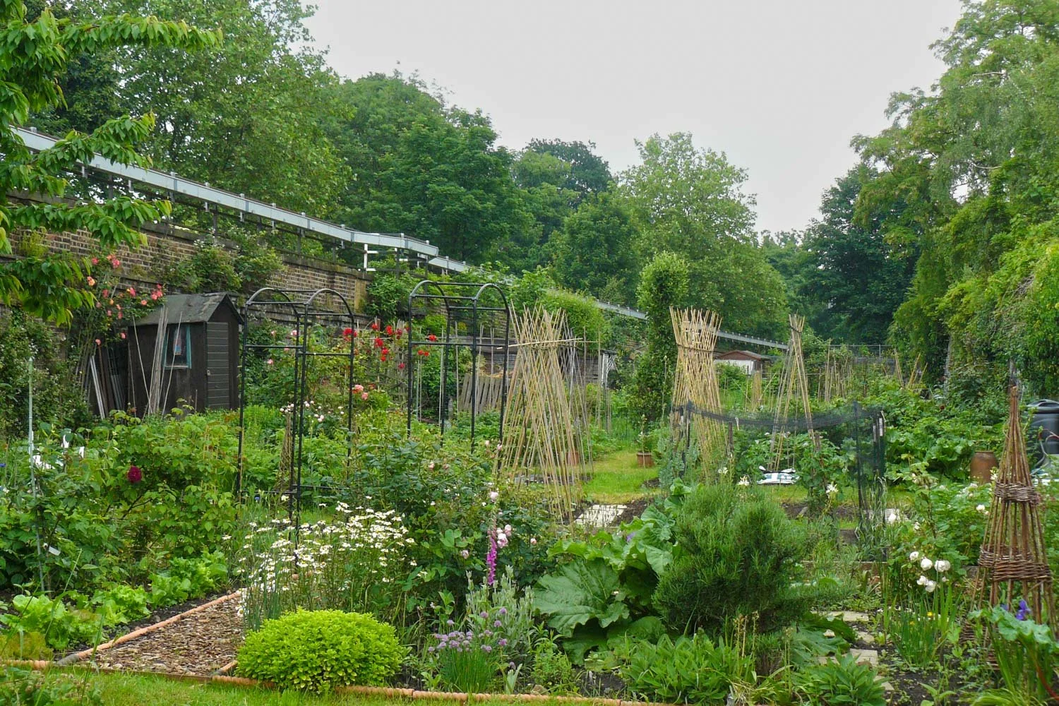 My Allotment Project