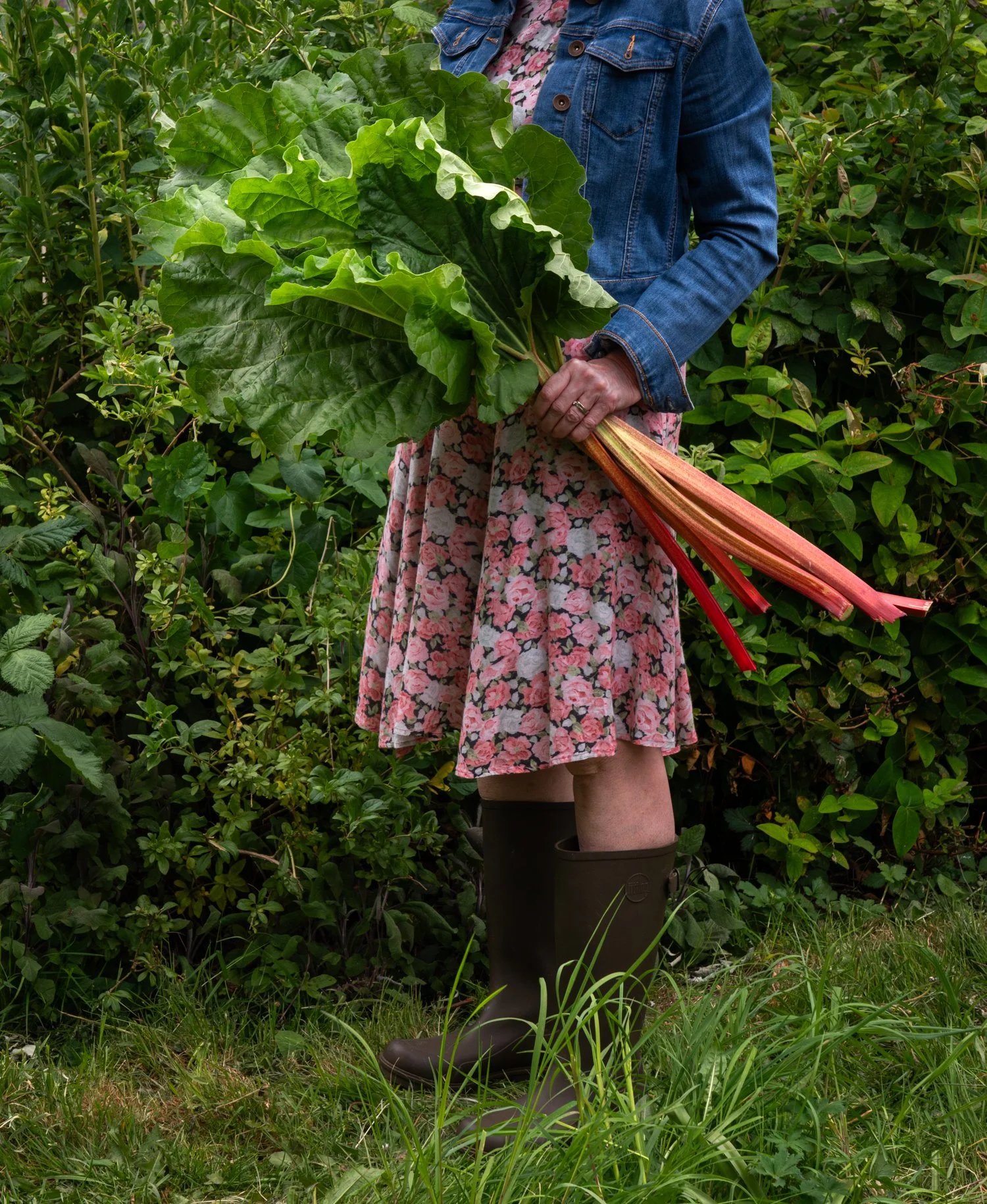 Rhubarb, rhubarb, rhubarb