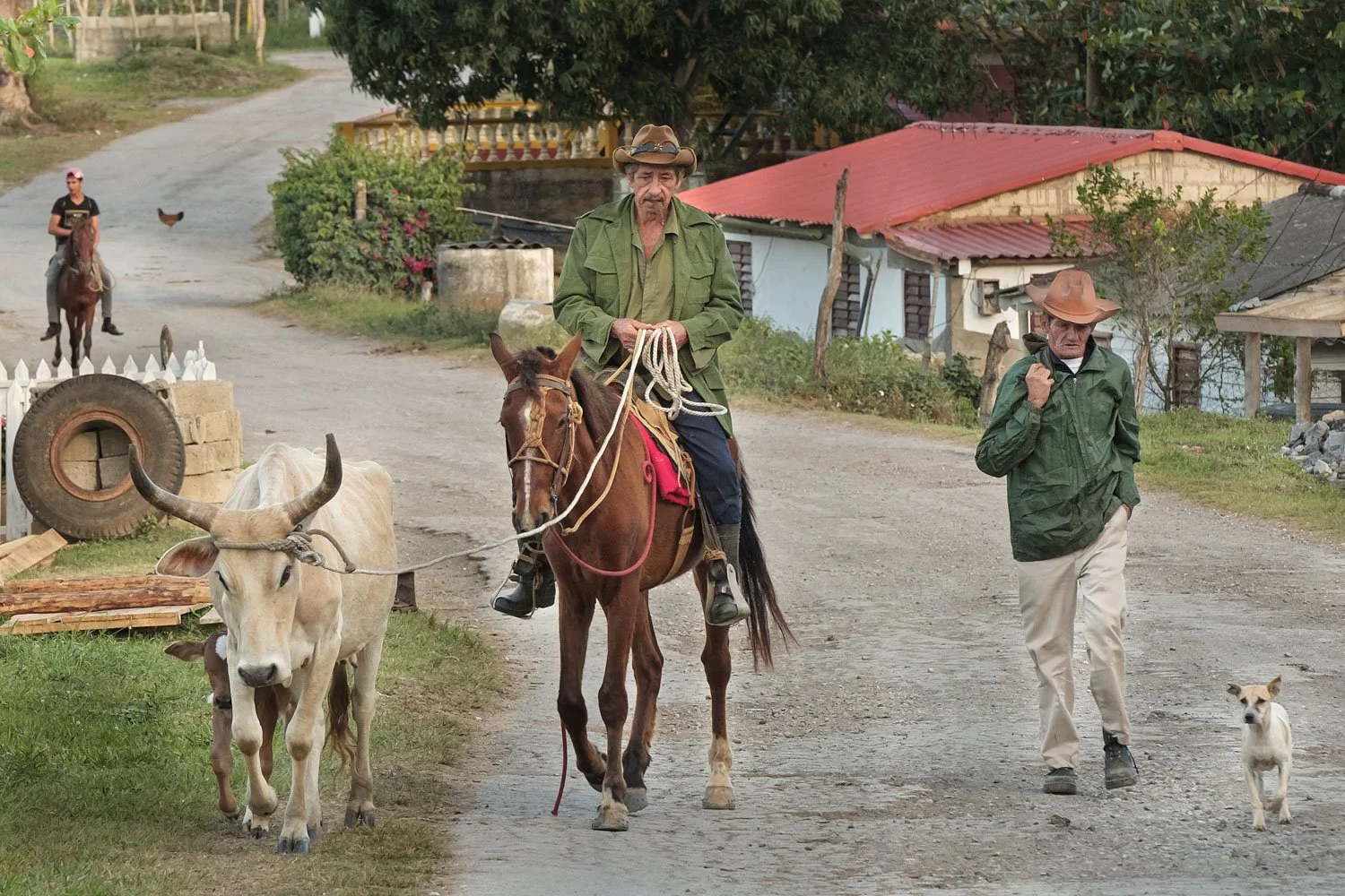 Cuban farmers returning home after work
