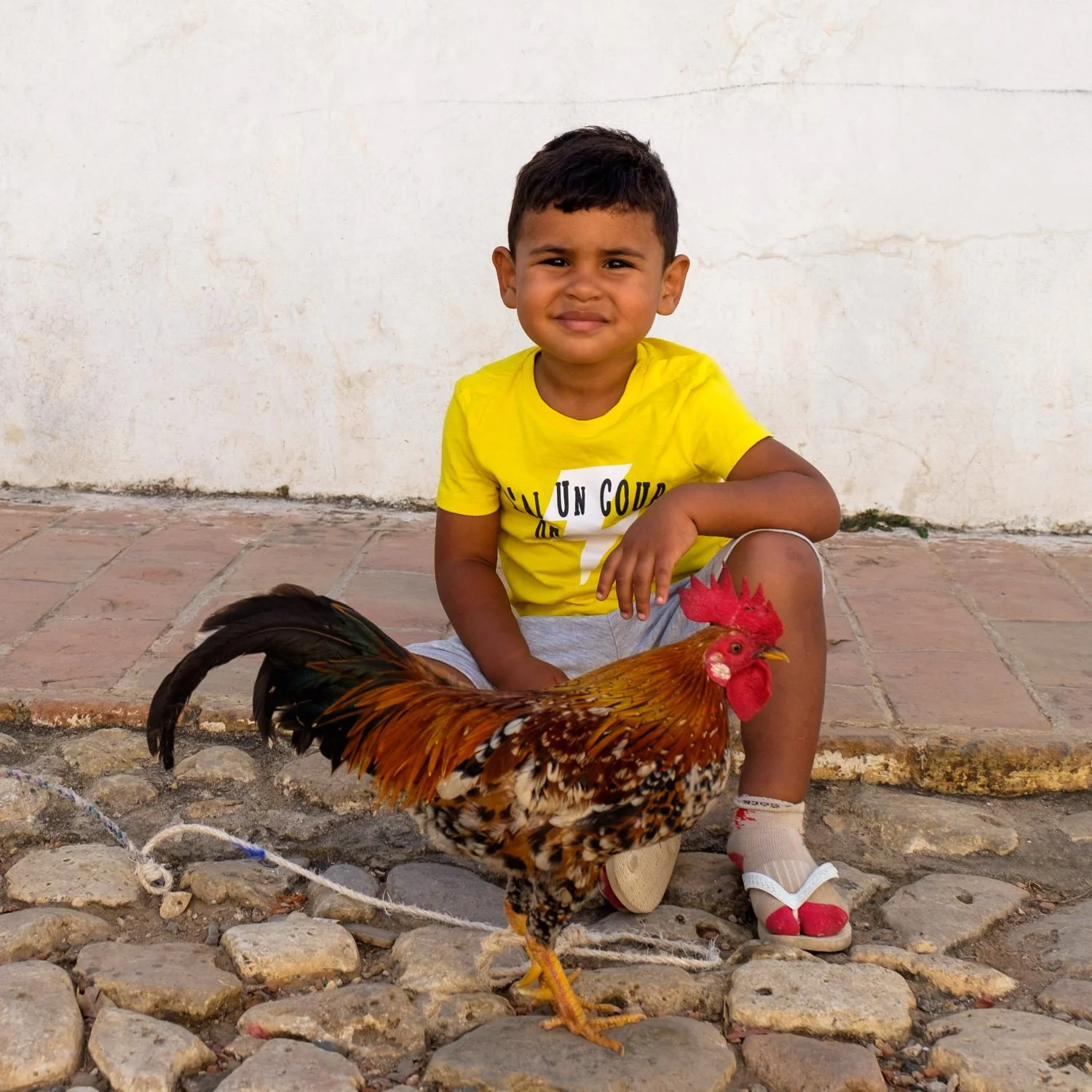Cuban boy and cockerel, photographed by Wendy Alers