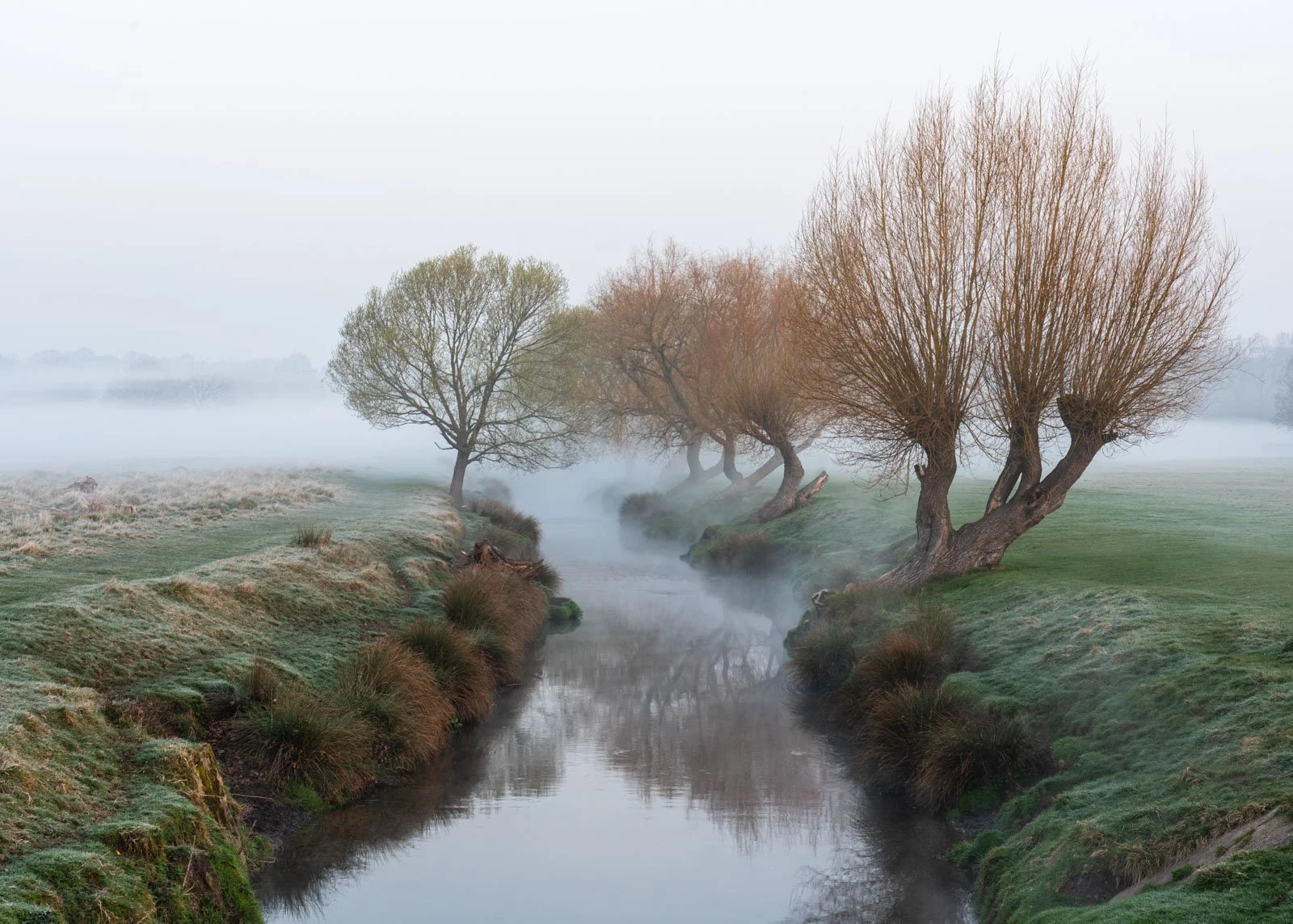 Beverley Brook, Richmond Park
