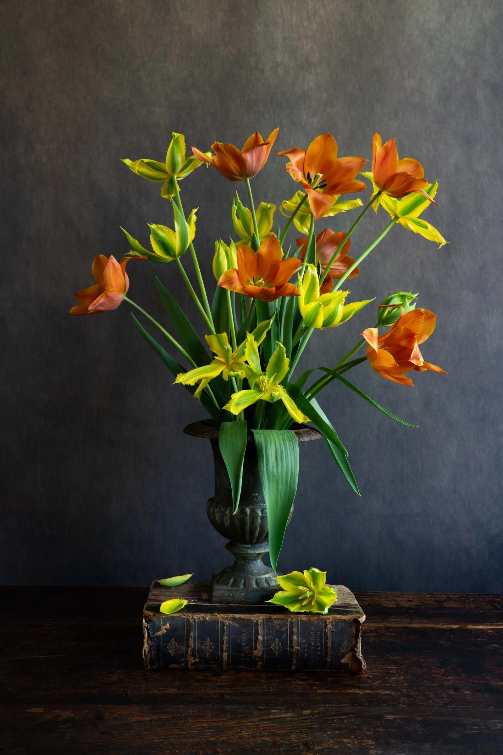 Still life of tulips, photographed by Wendy Akers