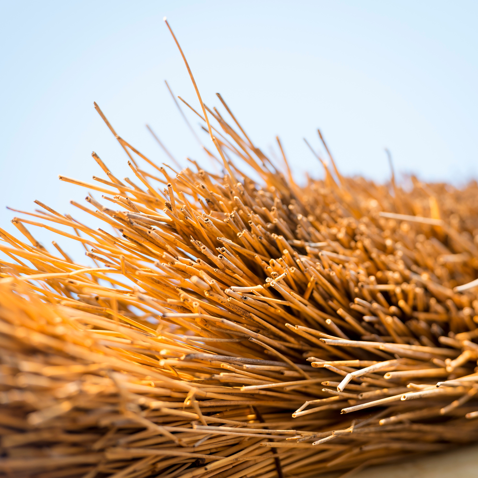 Re-ridging, flush & cut-cap (patterned)