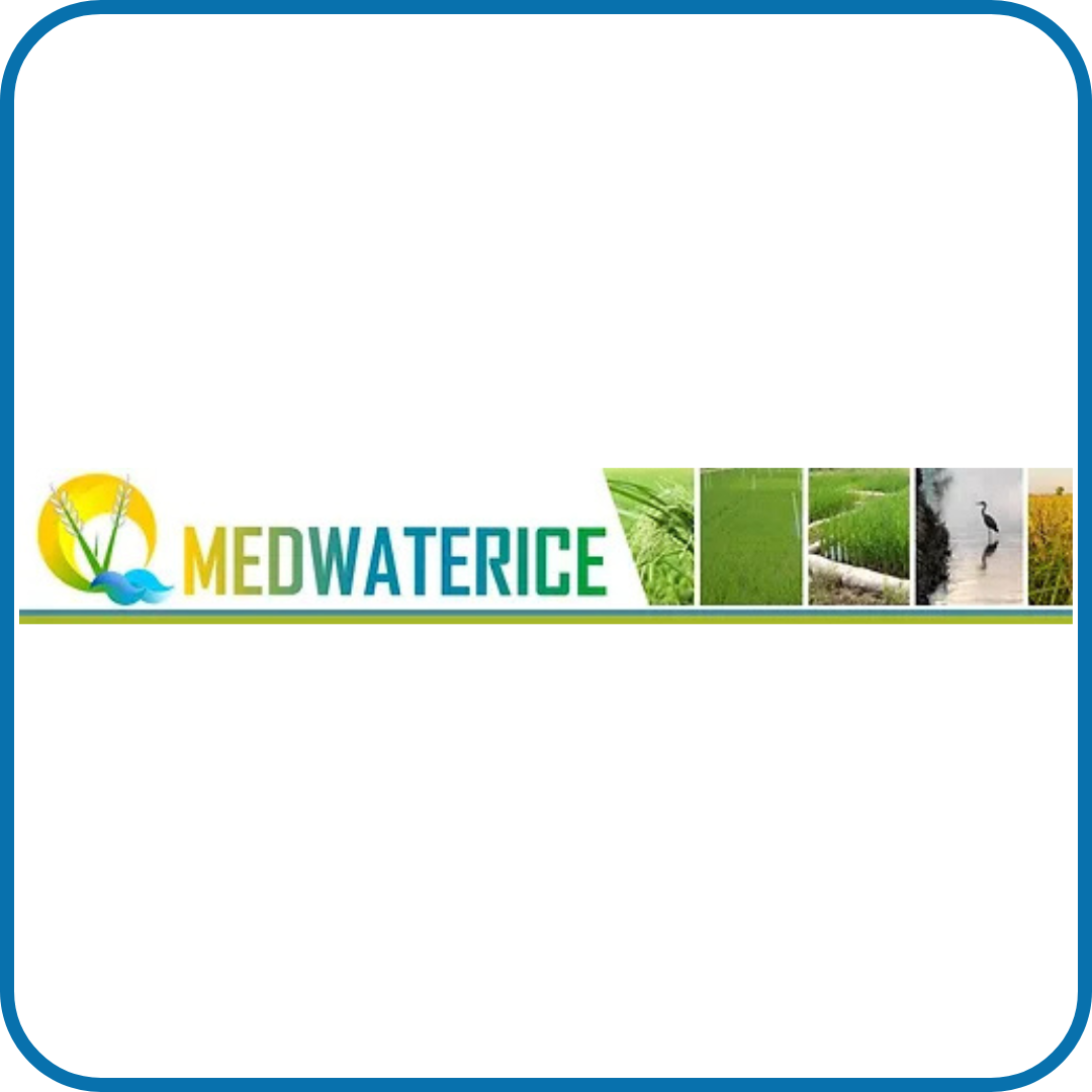 MEDWATERICE