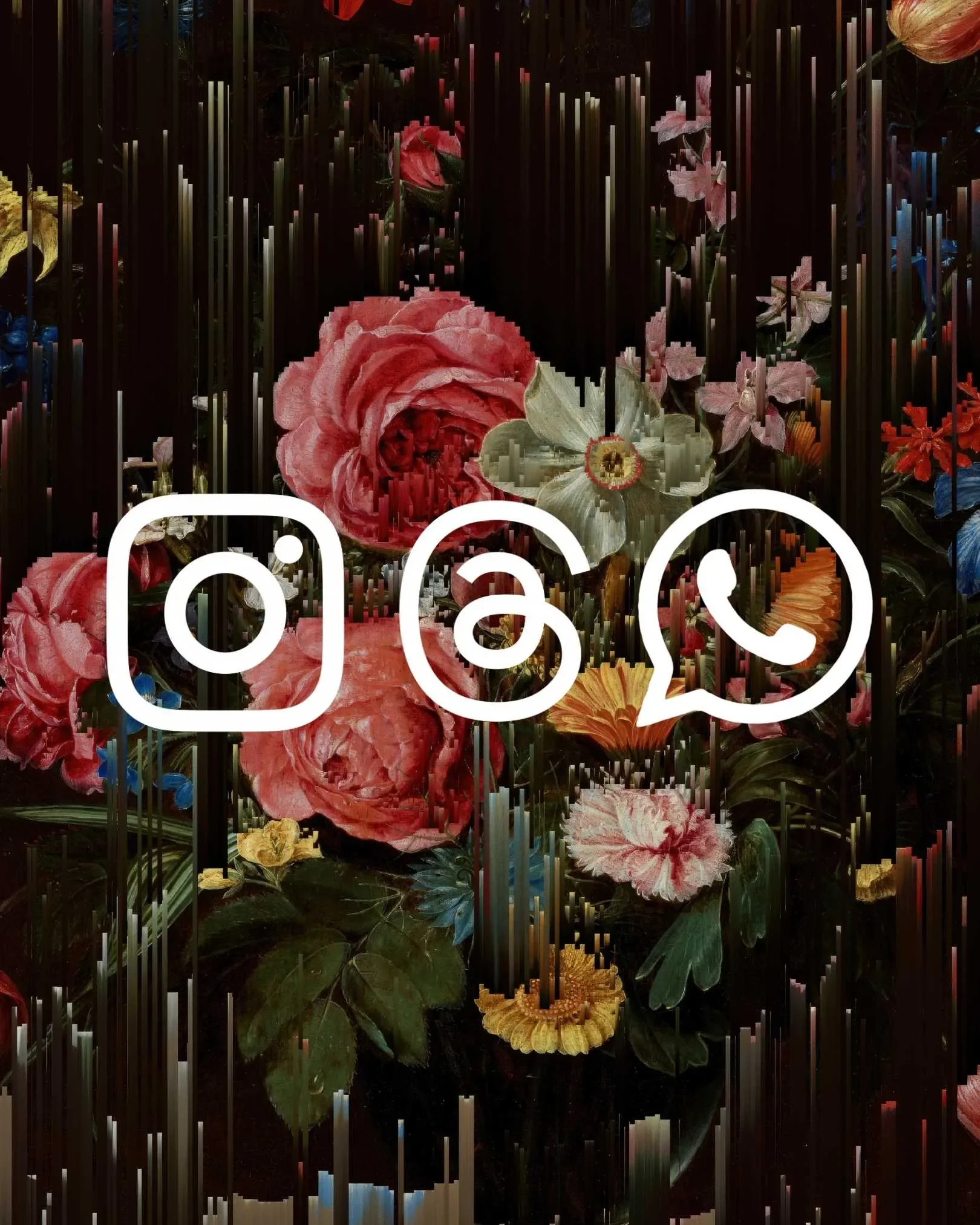 A floral background with large pink and red flowers, as well as some white, yellow, and blue flowers, overlaid with white icons for Instagram, Spotify, and WhatsApp.