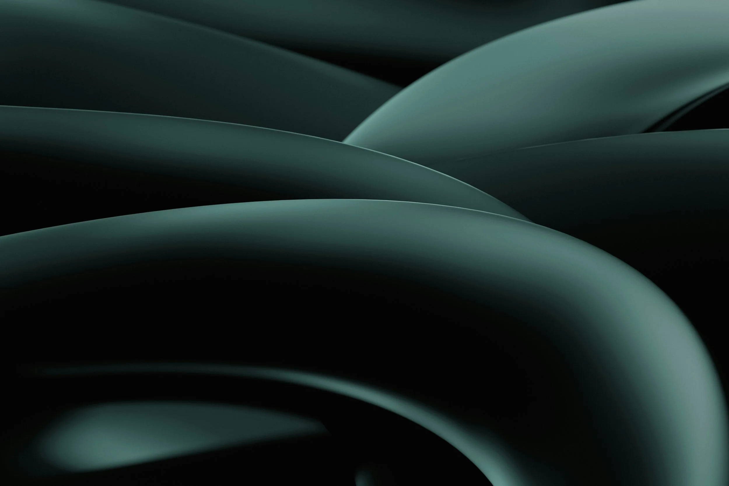 Close-up of smooth, curved, dark green abstract shapes with black background.