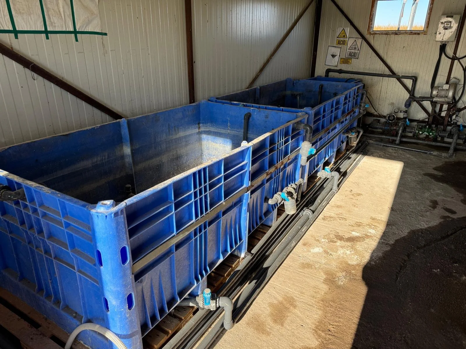 Large blue plastic tanks with plumbing inside a building, likely used for water or chemical storage or processing.
