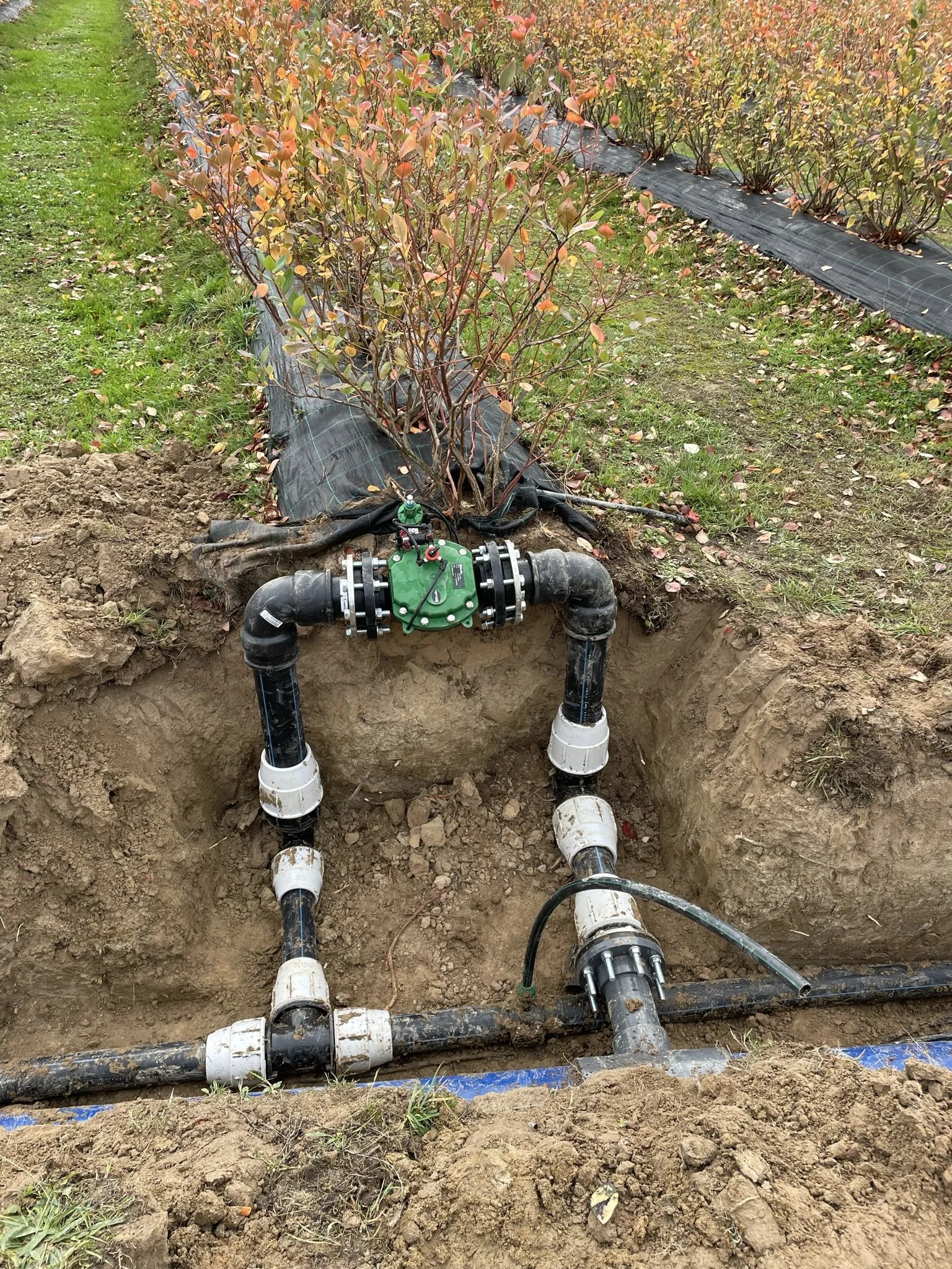 Underground irrigation system with black pipes and white fittings connected to a green valve, installed beneath a row of shrubs in a garden bed with black weed barrier fabric and brown soil.