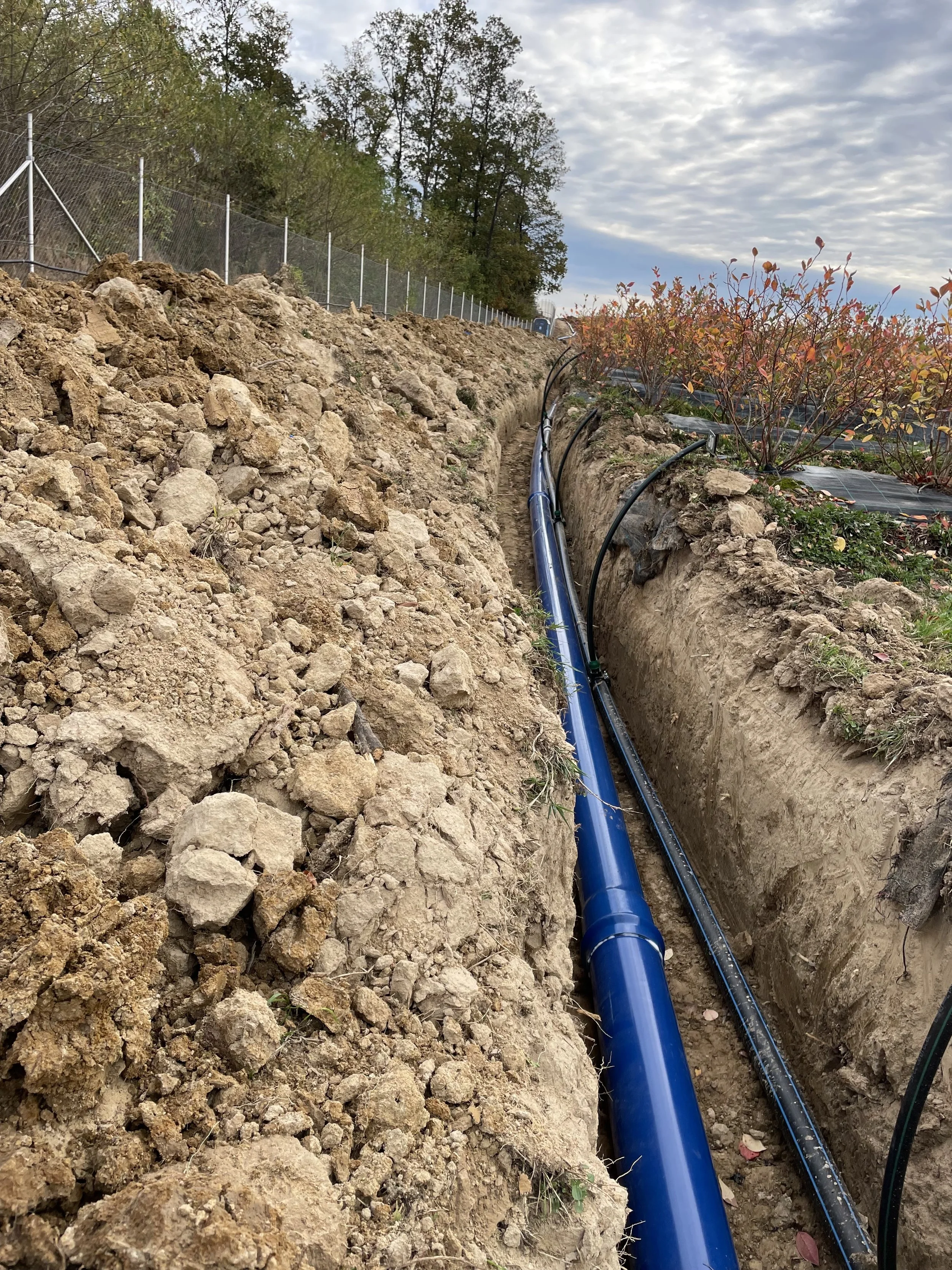 A construction site with a trench containing blue and black irrigation pipes, surrounded by dirt and rocks, with a chain-link fence in the background and trees on a partly cloudy sky.