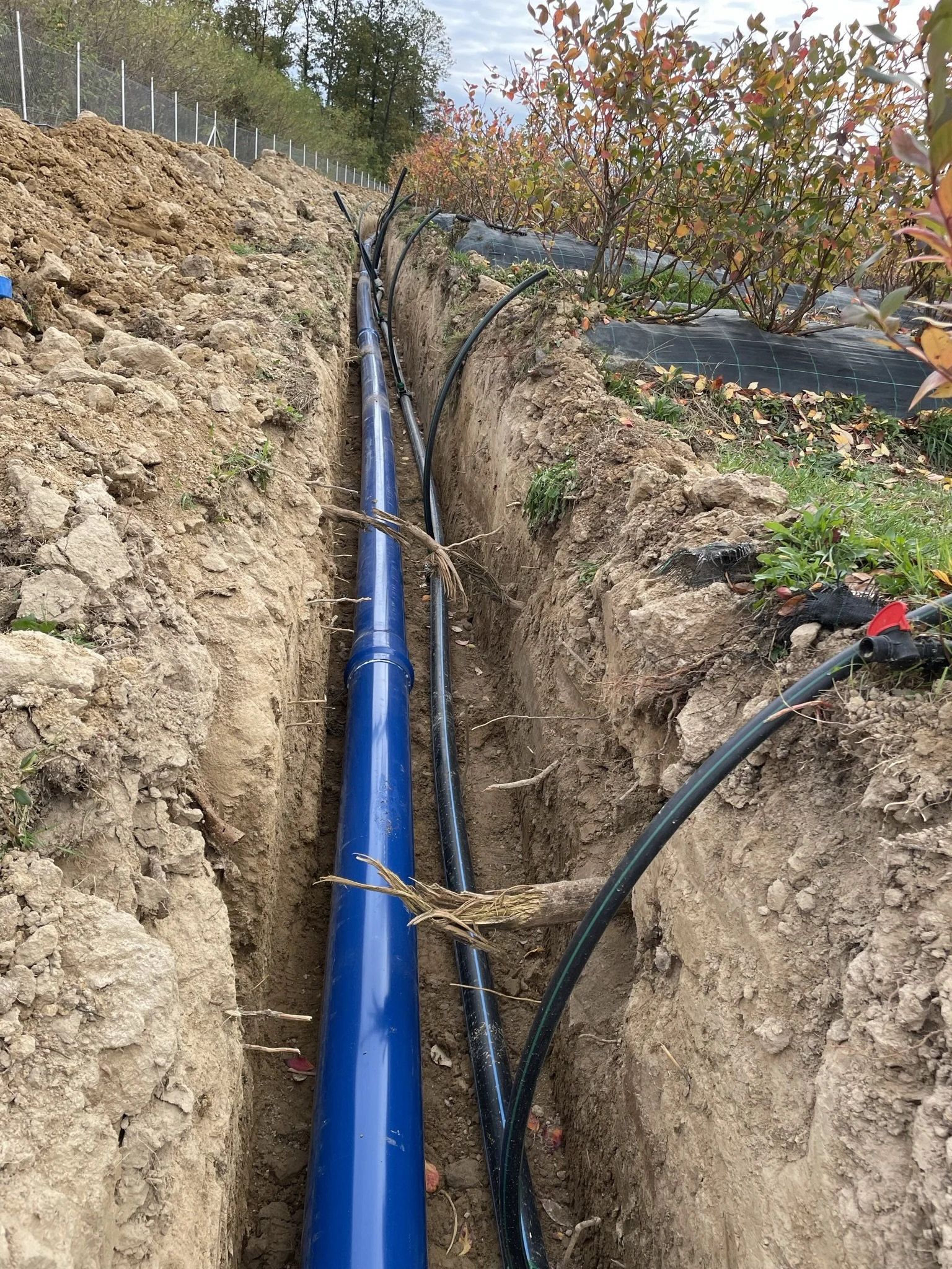 A trench with blue water pipes and black electrical cables installed underground in a rural area with trees and plants on either side.