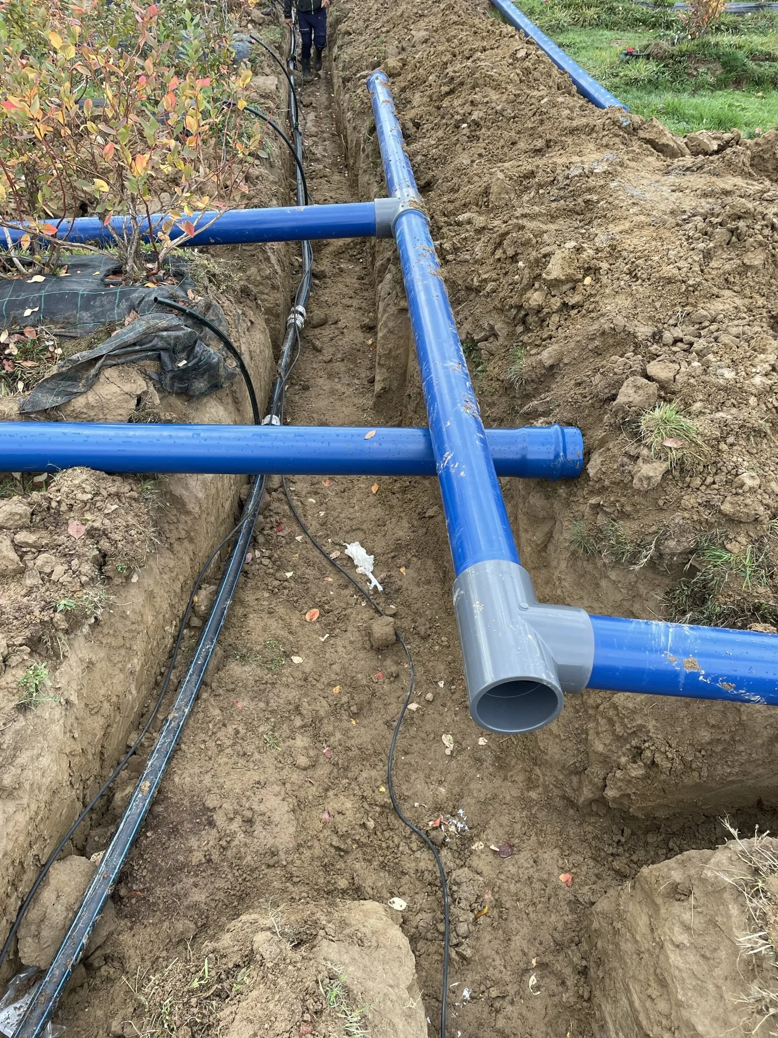 Installation of blue underground water pipes in a dirt trench, with black cables and supporting equipment, during construction.