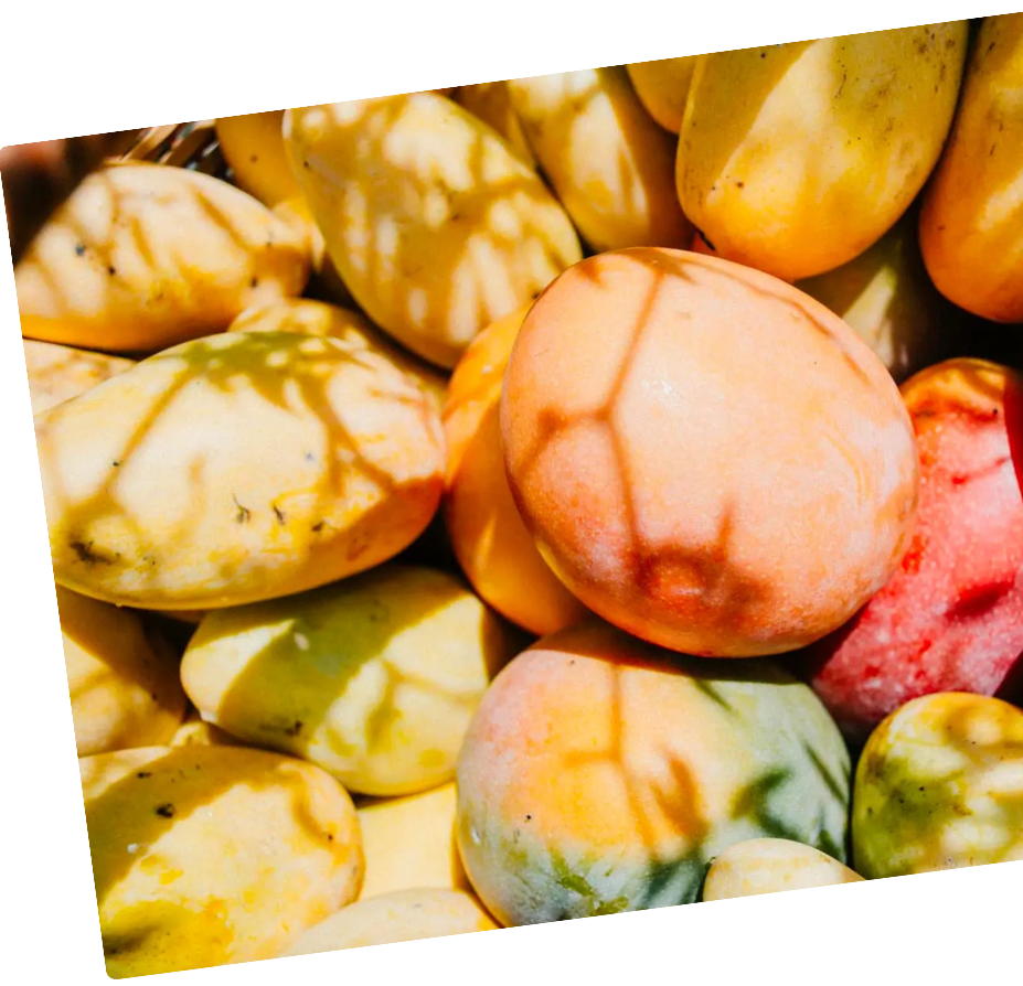 Une collection de fruits appelés pois catalans ou chayotes, en différentes couleurs et formes, avec une peau ridée.