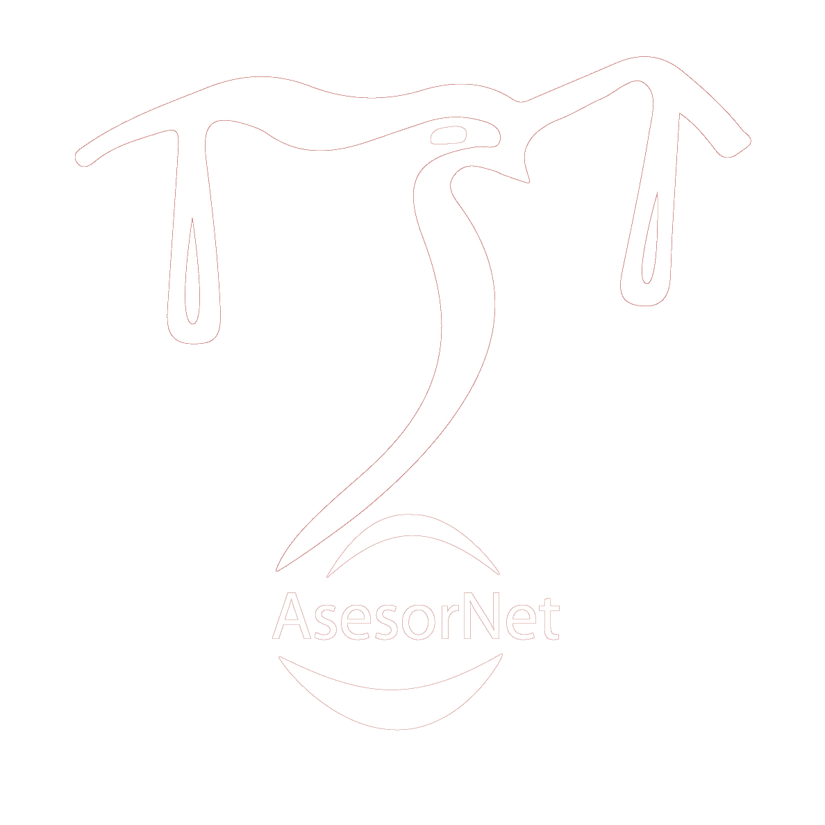 AsesorNet Abogados