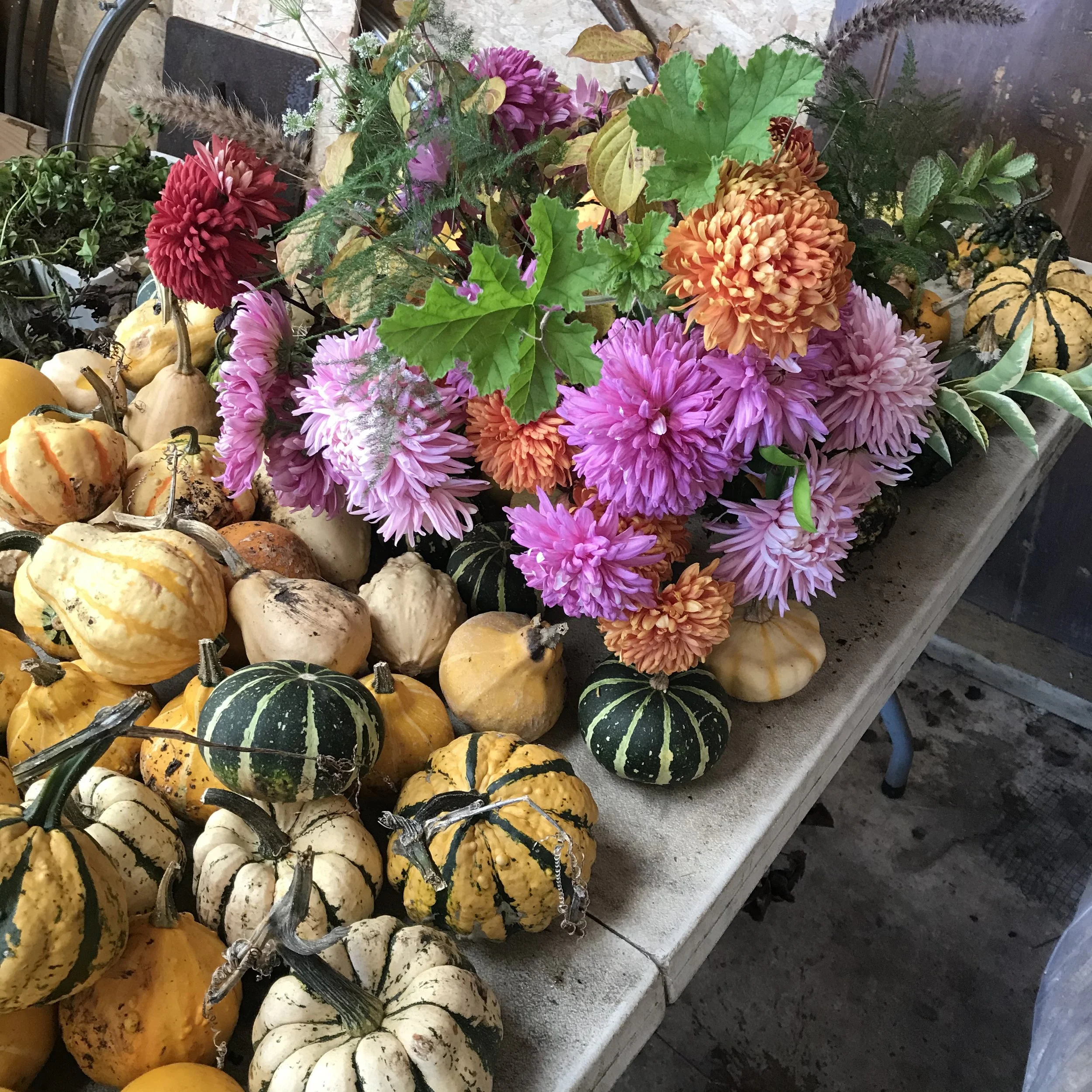 A variety of small decorative gourds and pumpkins on a table, with a lush bouquet of pink, orange, and purple flowers among them.